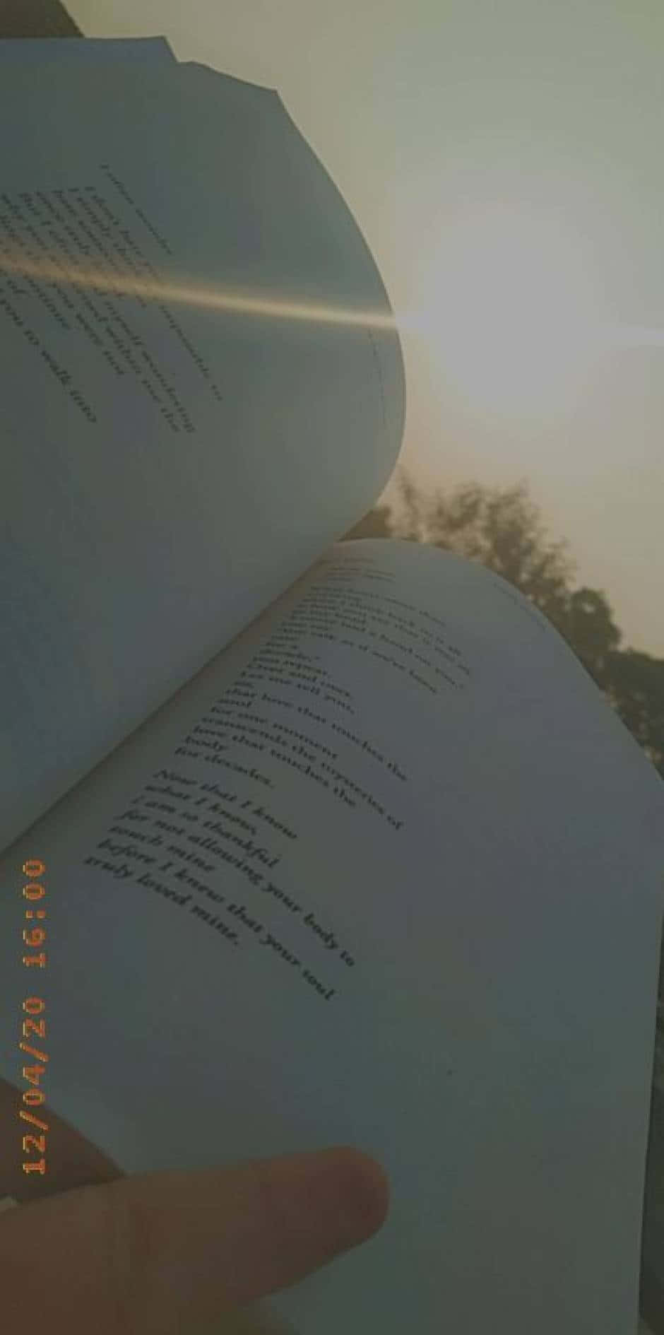 "Deja que tu imaginación vuele con un libro en la mano." Fondos de pantalla