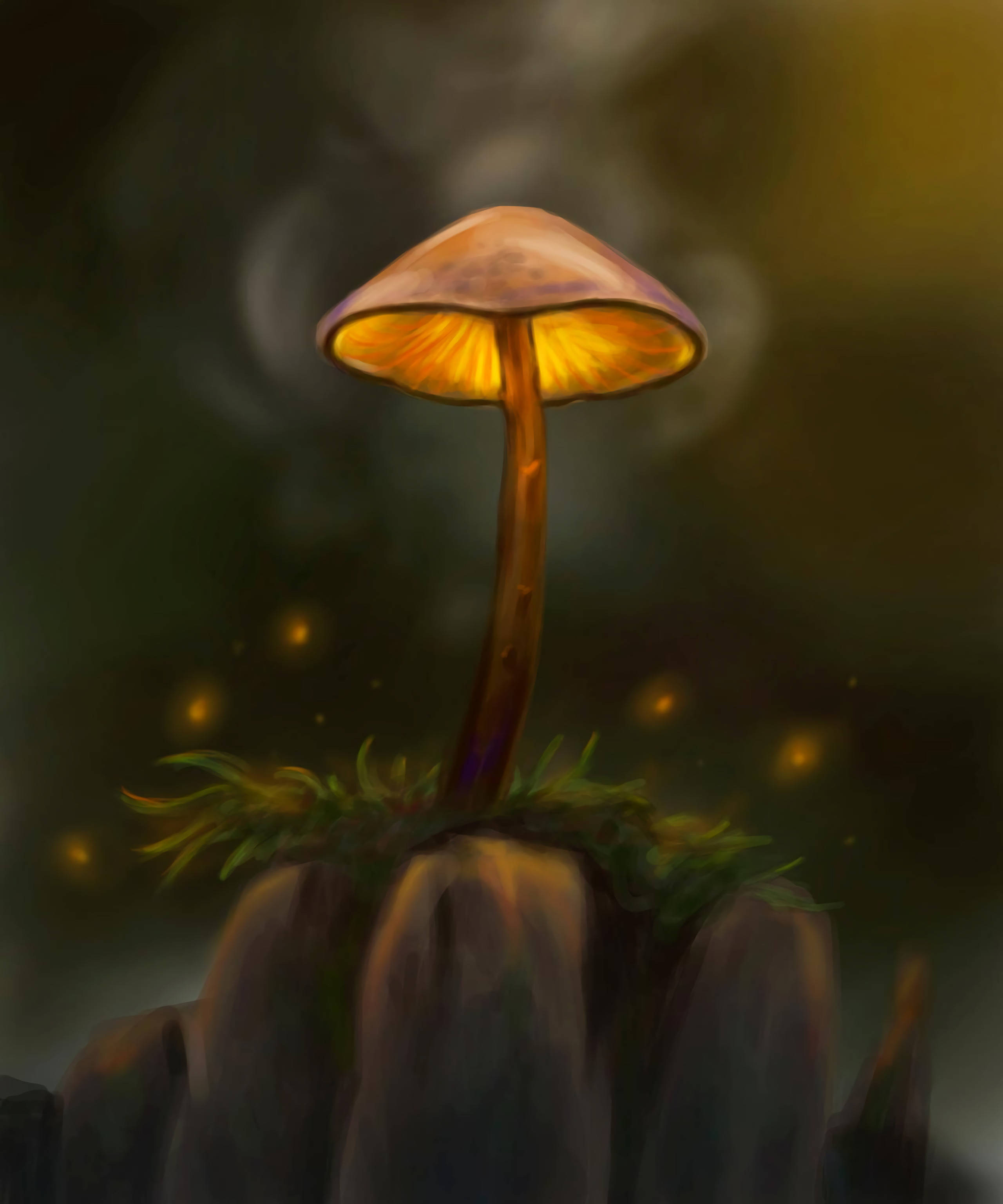 Deja volar tu imaginación con estos hongos mágicos. Fondos de pantalla