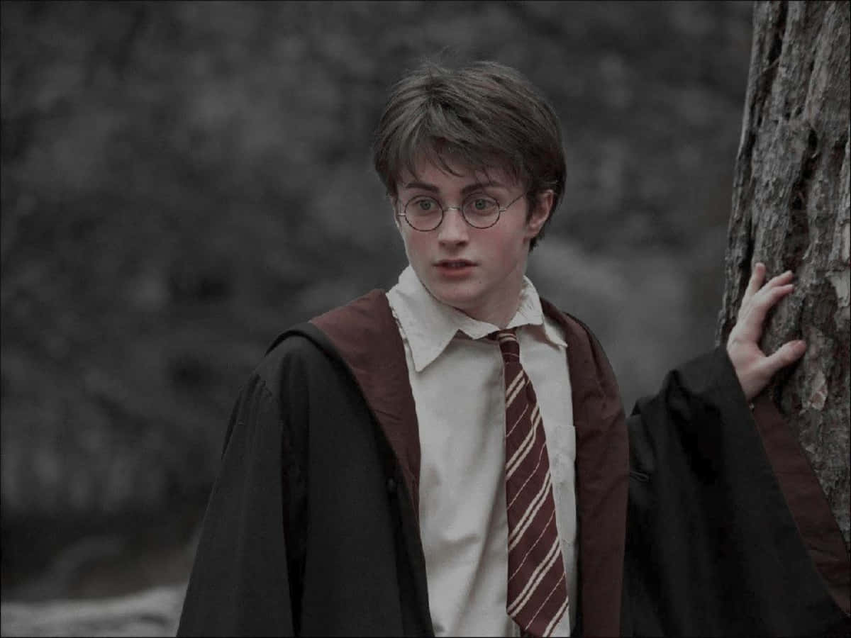 "Deja volar tu imaginación por el mágico mundo de Harry Potter." Fondos de pantalla