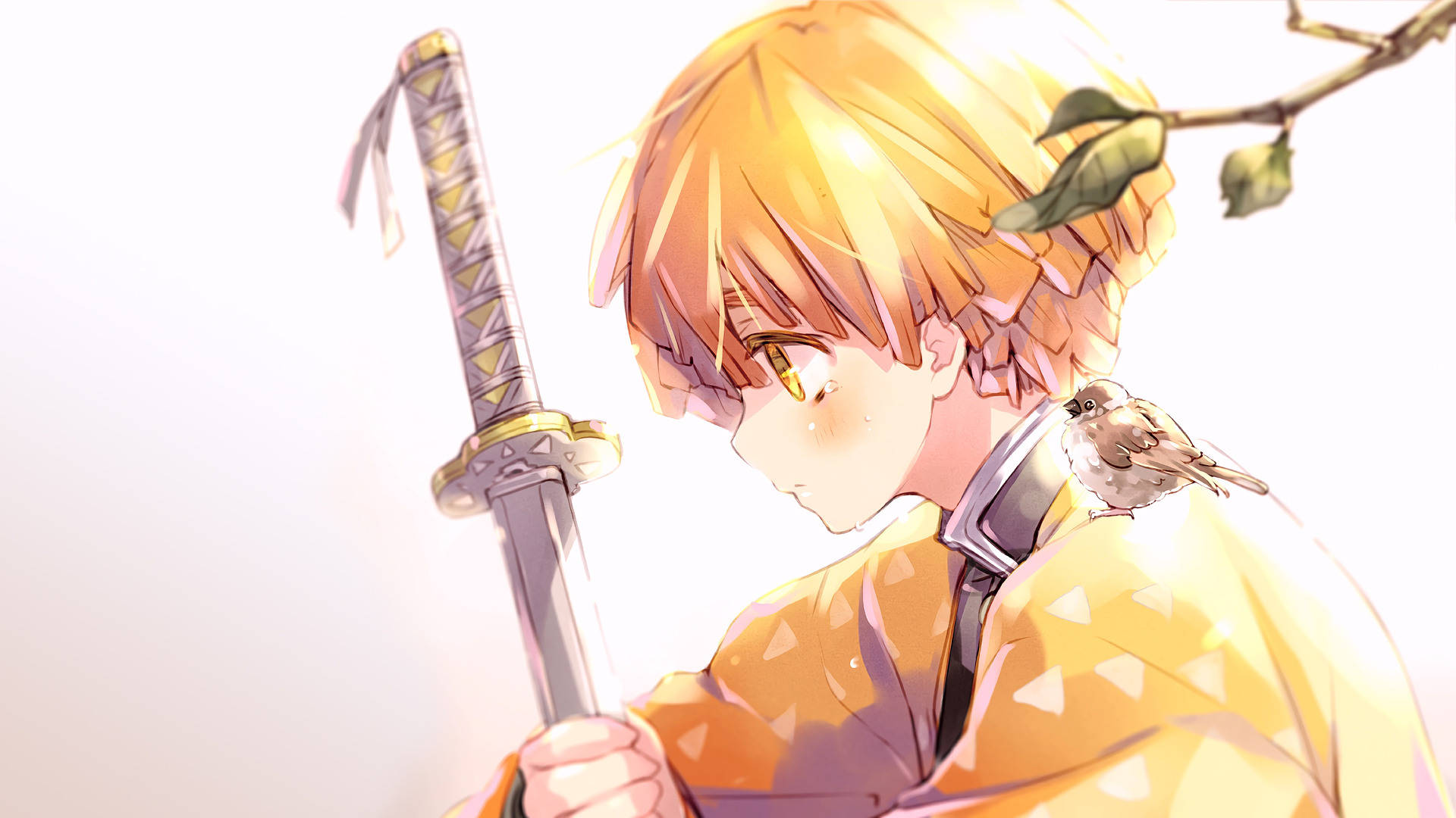 Demon Slayer Zenitsu a la luz del sol Fondos de pantalla