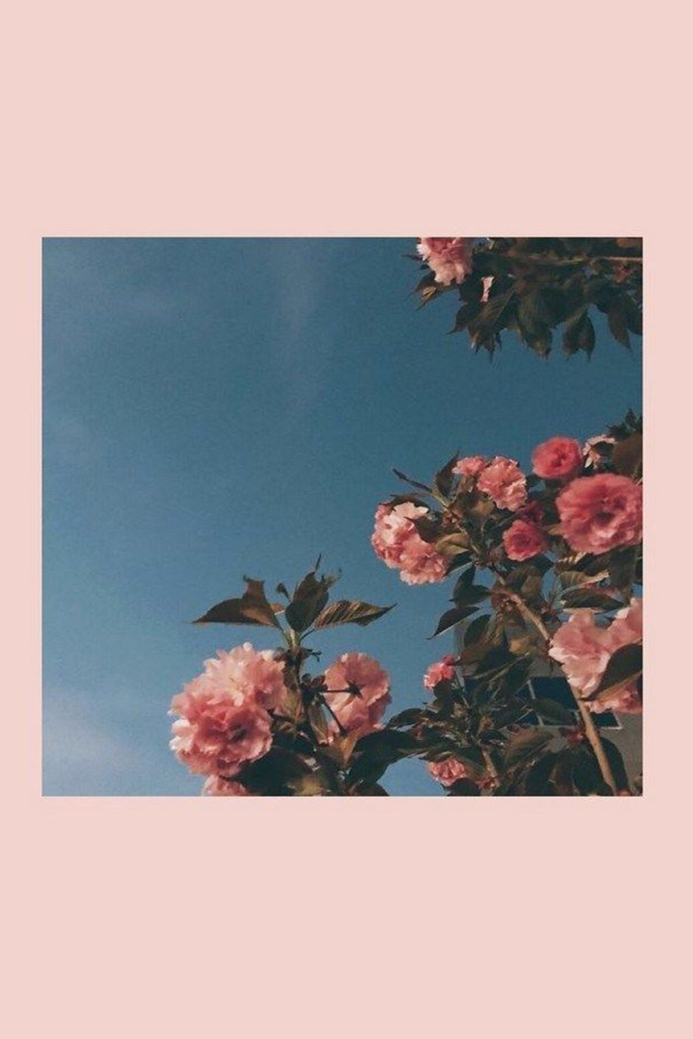 Desbloquea tu creatividad dondequiera que vayas con el hermoso iPad Aesthetic Fondos de pantalla