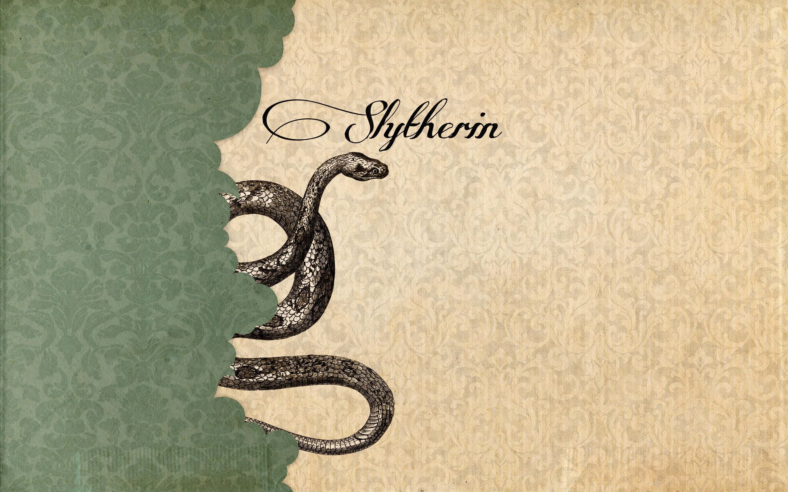 Descubre el encanto misterioso de la estética Slytherin 🐍 Fondos de pantalla