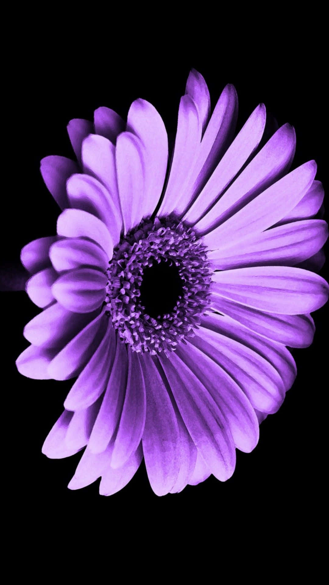 Descubre la alegría de vivir con este fondo de pantalla floral para iPhone Fondos de pantalla