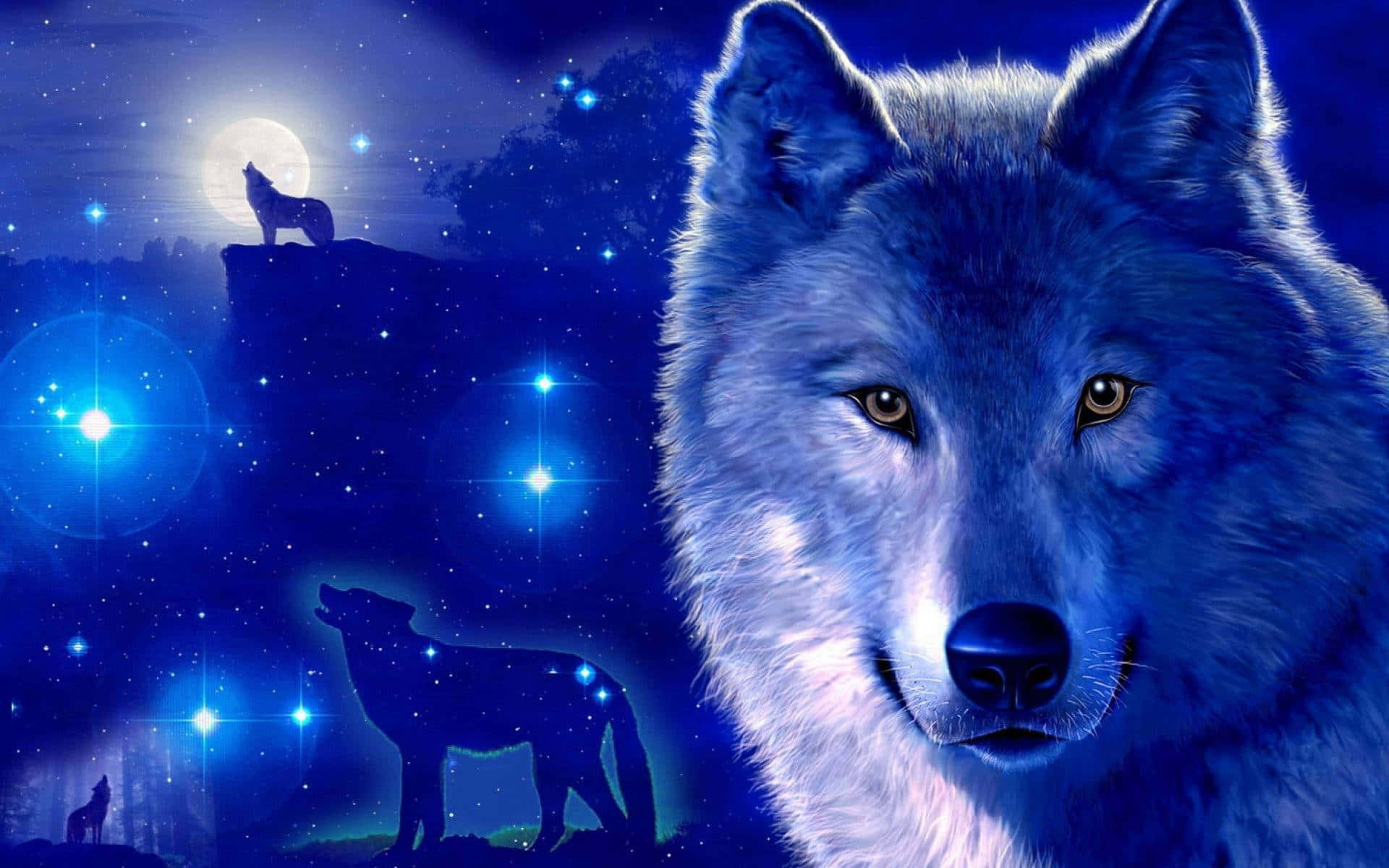Descubre la belleza de las estrellas con Galaxy Wolf Fondos de pantalla