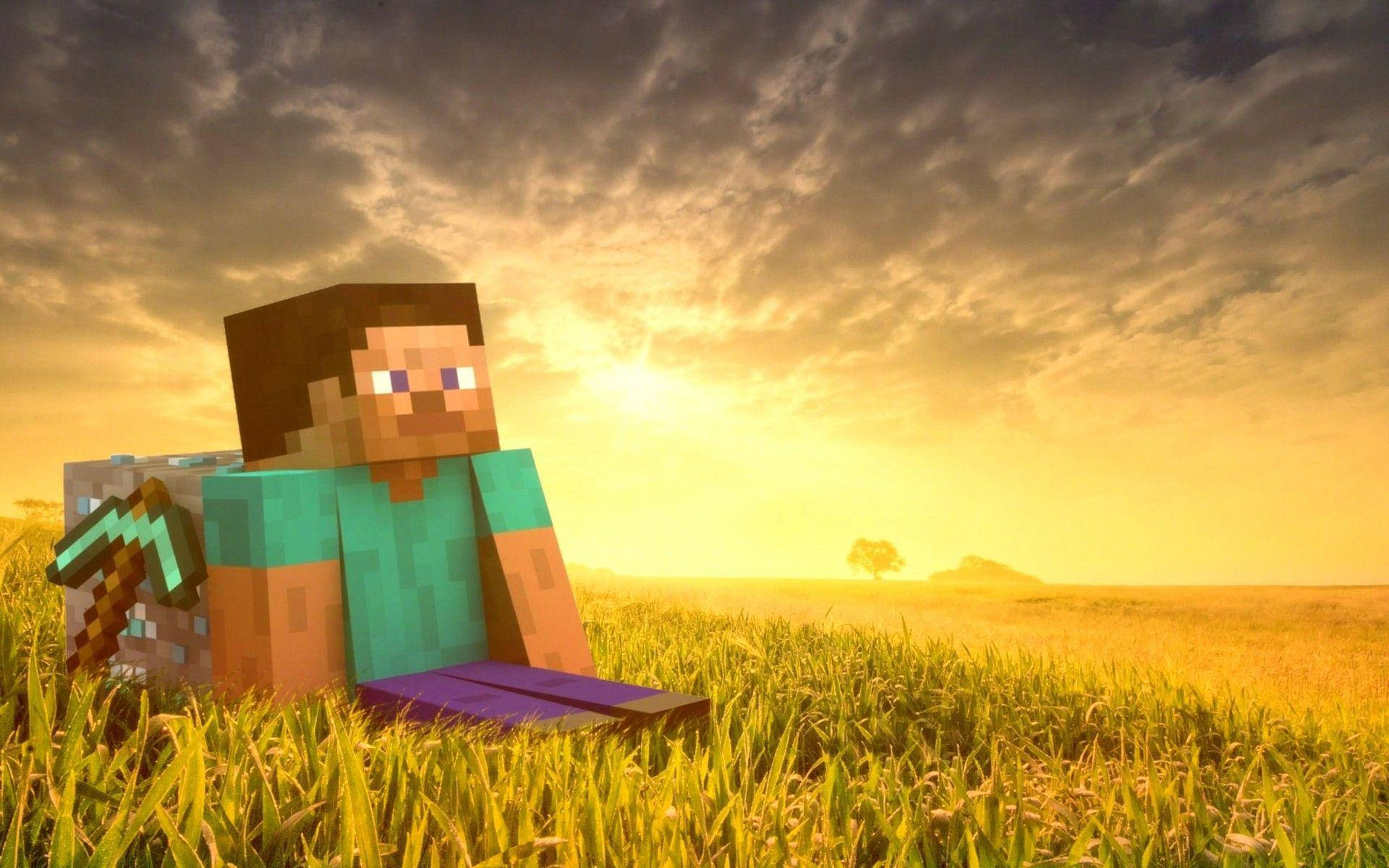 Descubre las alegrías de un nuevo mundo con Minecraft Steve Fondos de pantalla