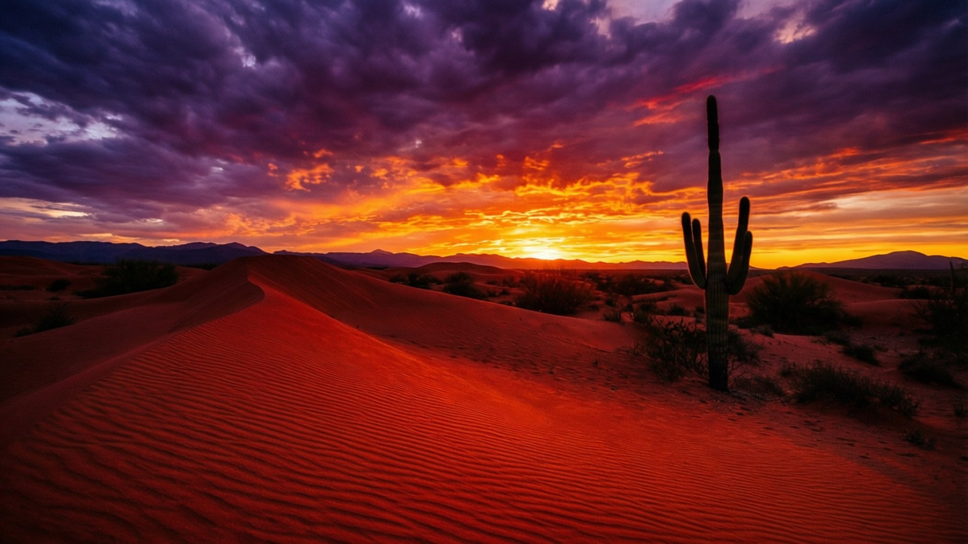 Desierto Fuego Atardecer Fondos de pantalla