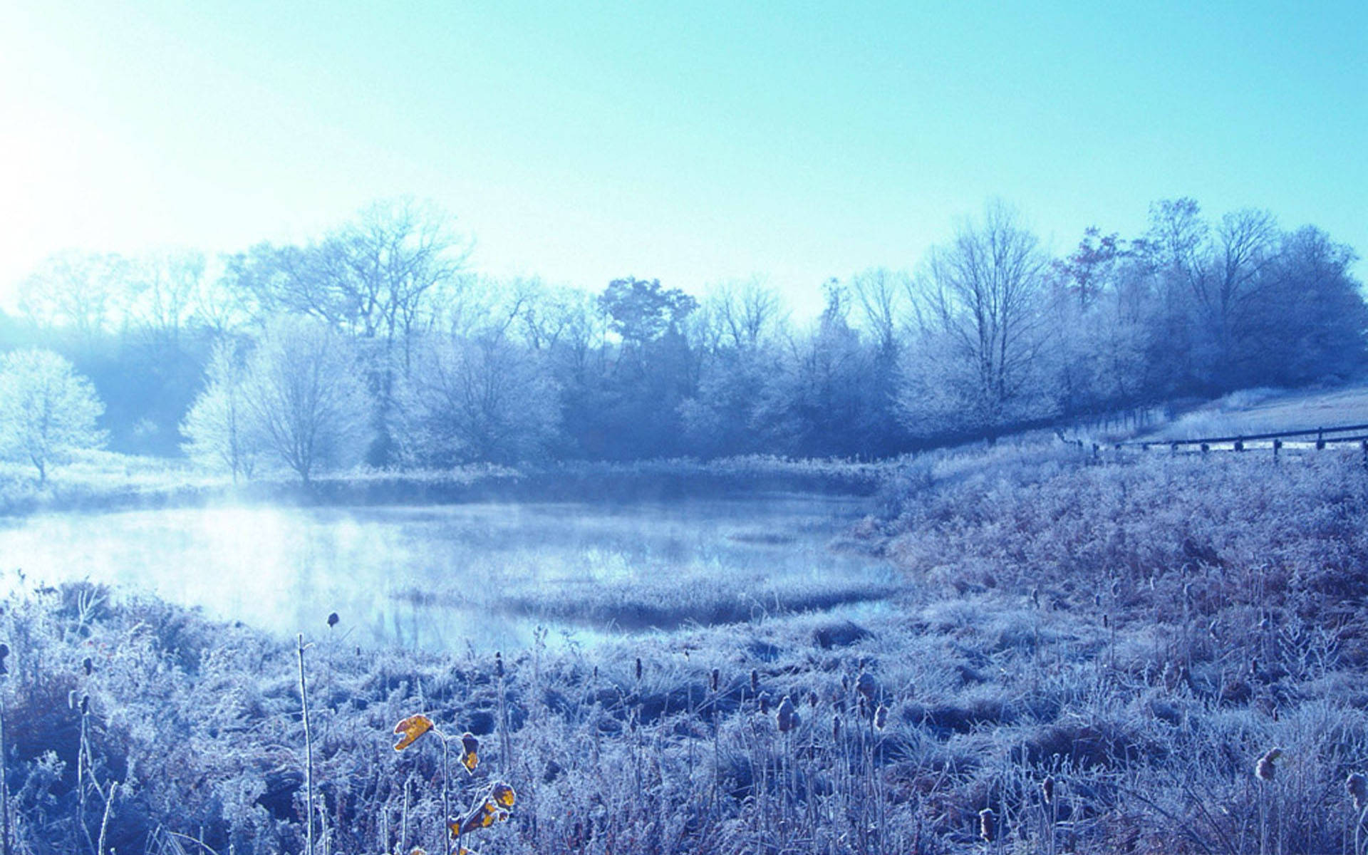 Día Frío de Invierno Fondos de pantalla