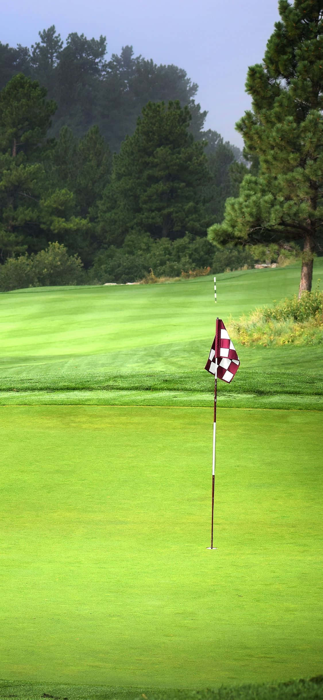 Día perfecto para una ronda de golf en el campo de golf Fondos de pantalla