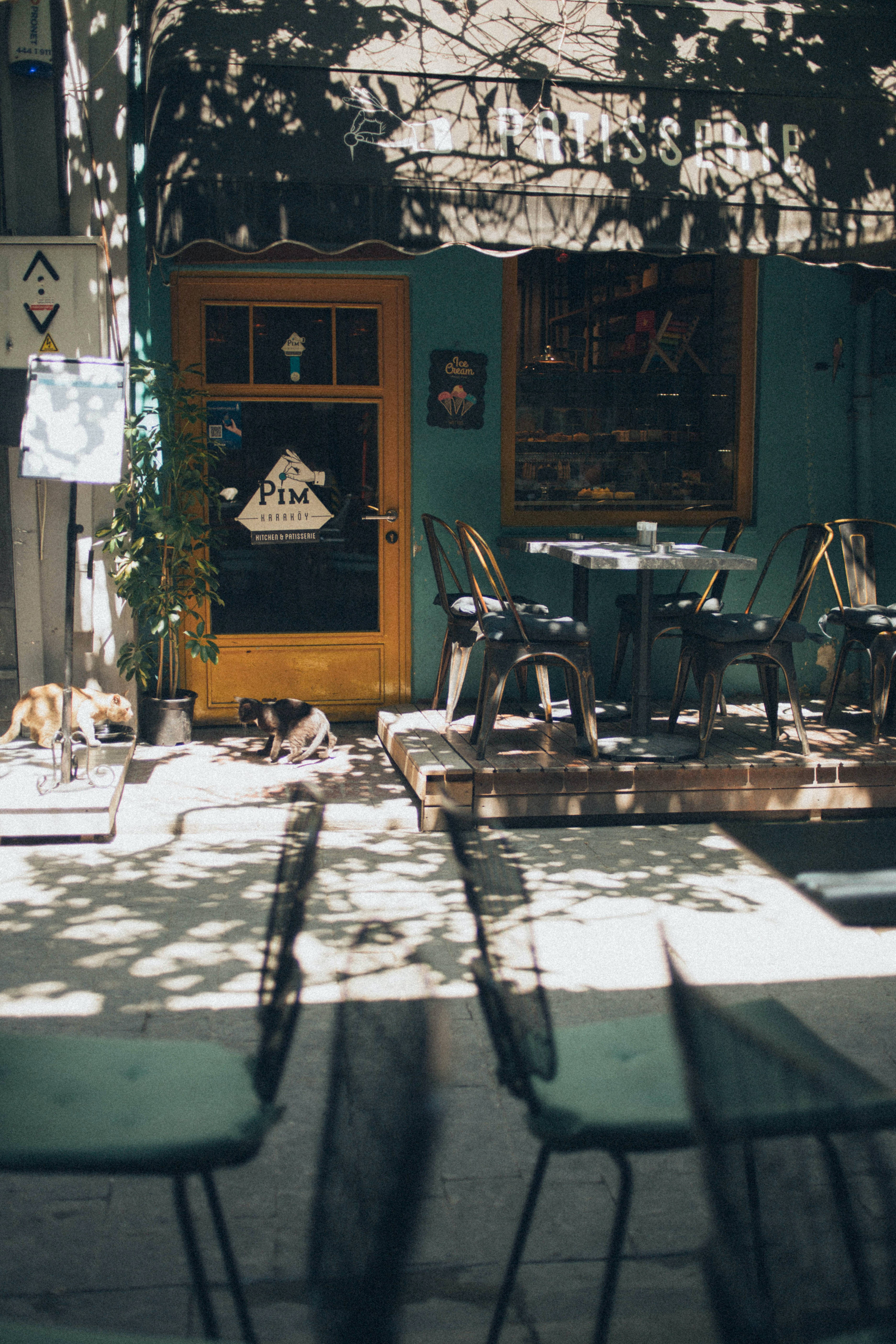 Día soleado afuera de la cafetería Fondos de pantalla