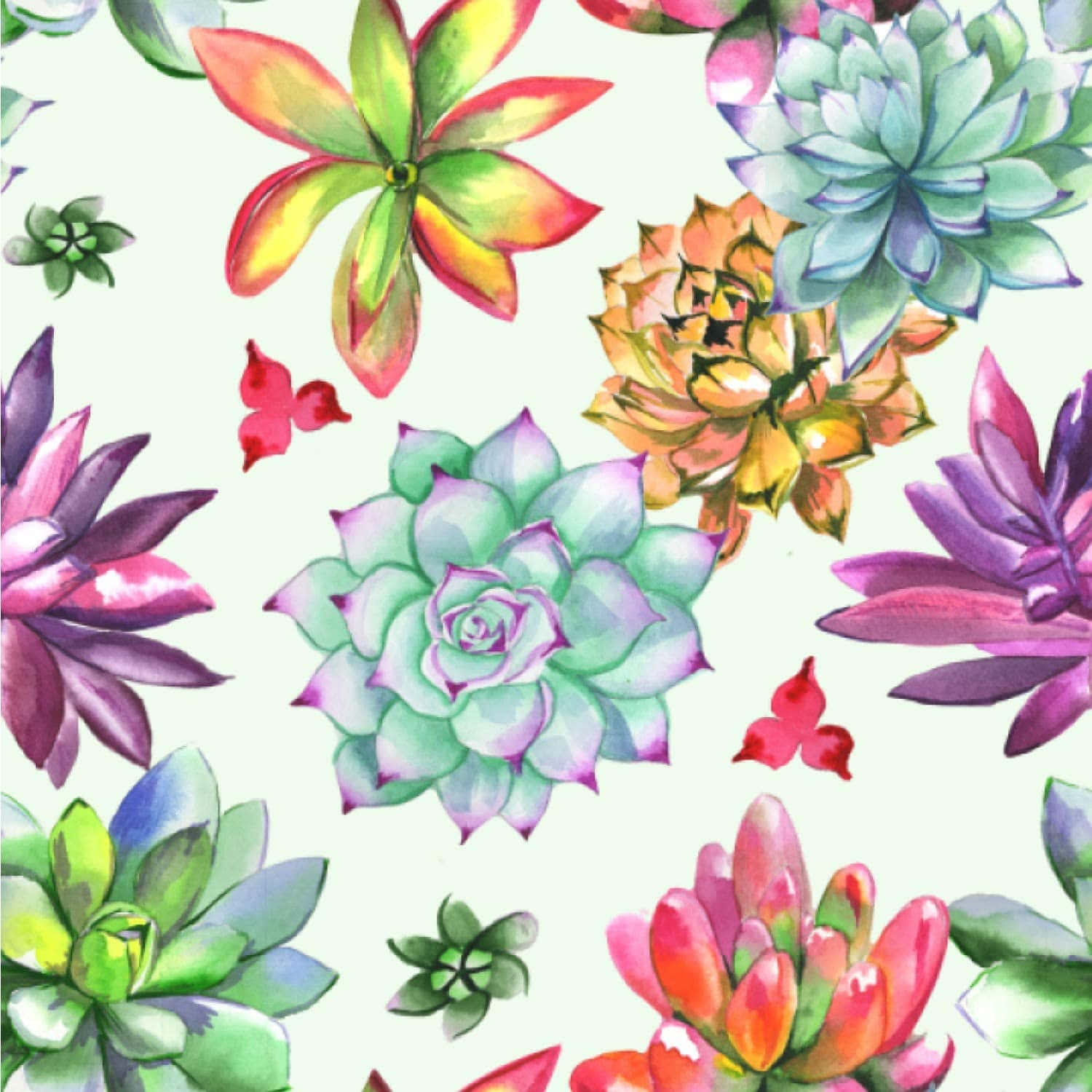 Dibujo artístico de suculentas lindas Fondos de pantalla