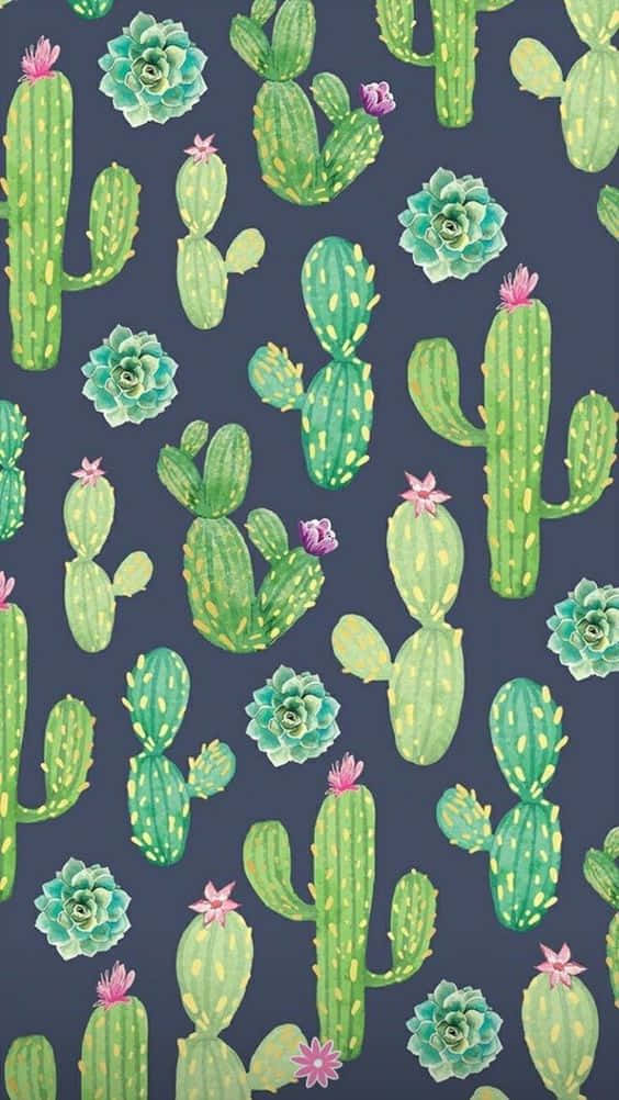 Dibujo de cactus para iPhone Fondos de pantalla