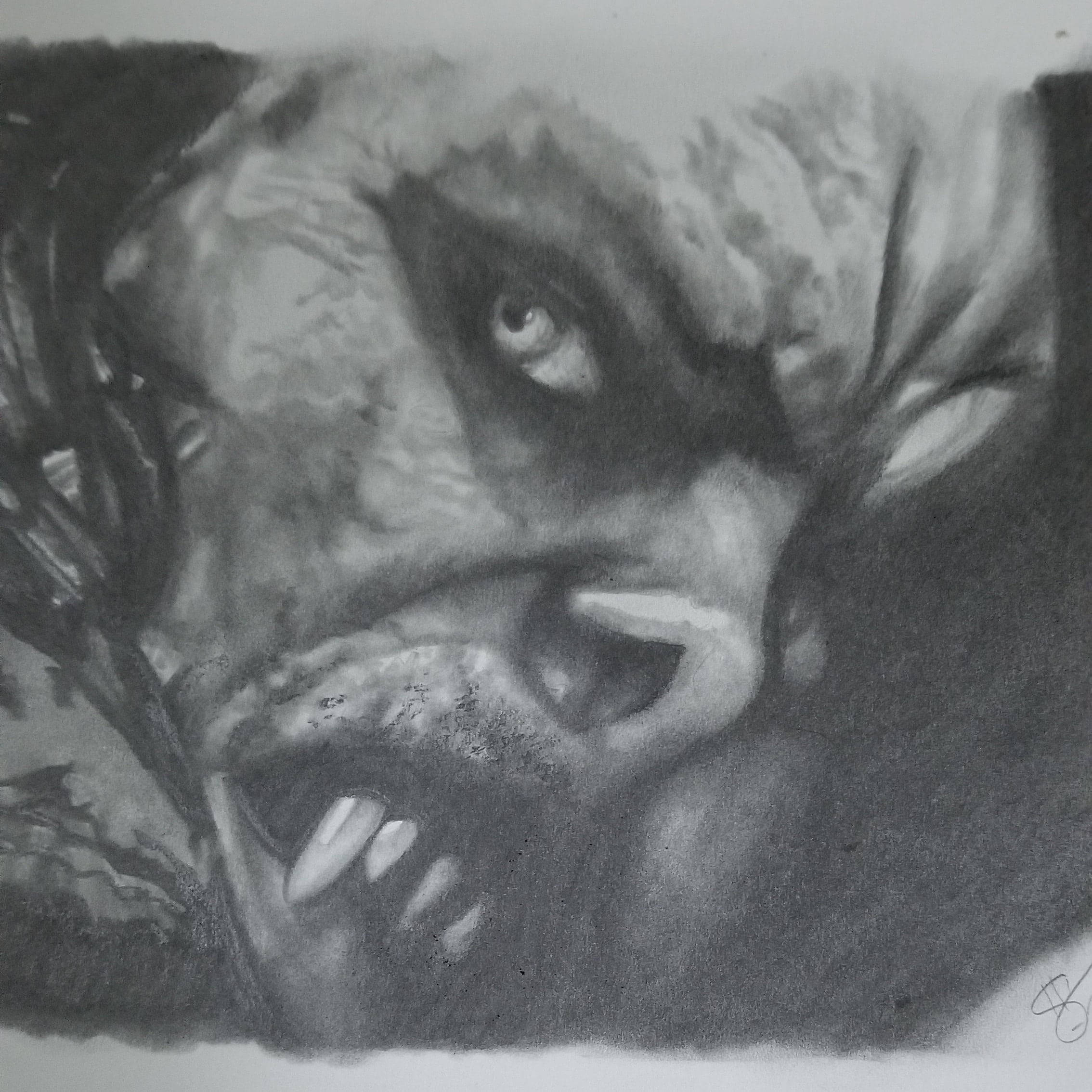 Dibujo del Rostro de Morbius Fondos de pantalla