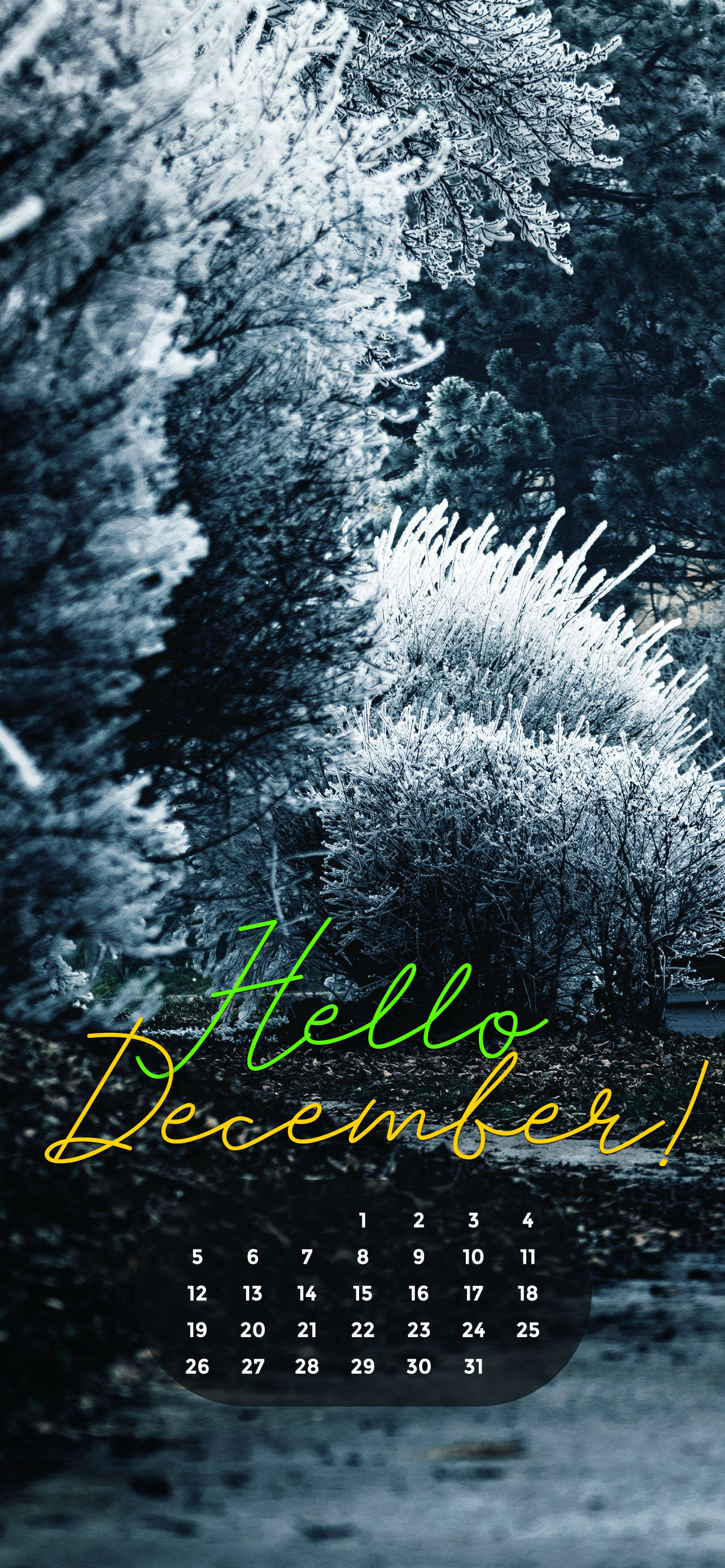 Diciembre 2021 Blanca Navidad Fondos de pantalla