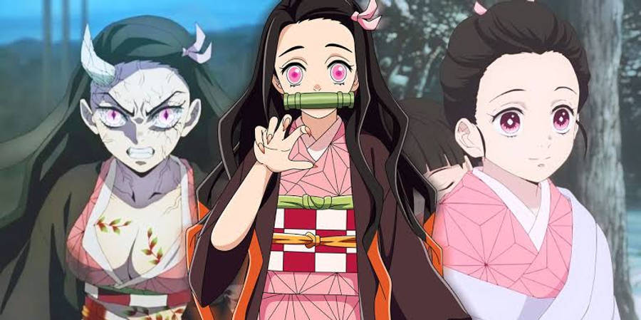 Diferentes fases de la vida de Nezuko de Demon Slayer Fondos de pantalla