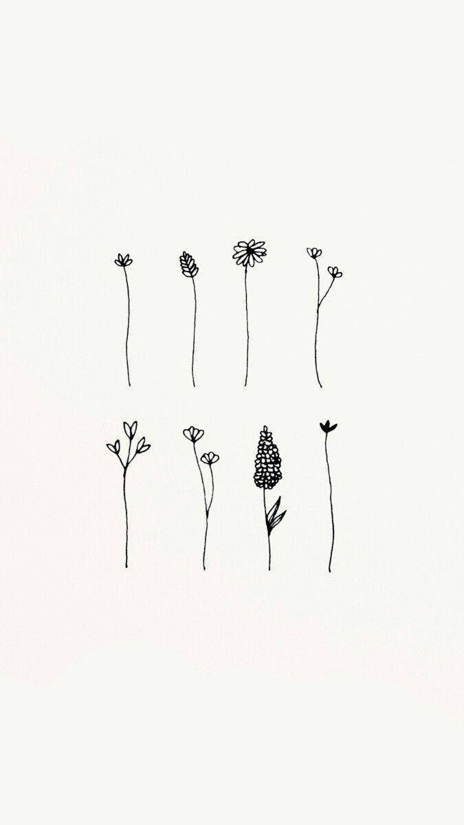 Diferentes Flores Bocetos Estéticos Fondos de pantalla