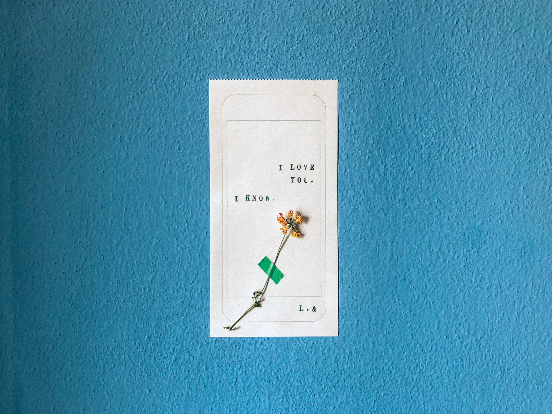 Dibujo minimalista de una conversación telefónica que dice "Te amo" y "Lo sé" con una flor seca pegada sobre fondo azul.