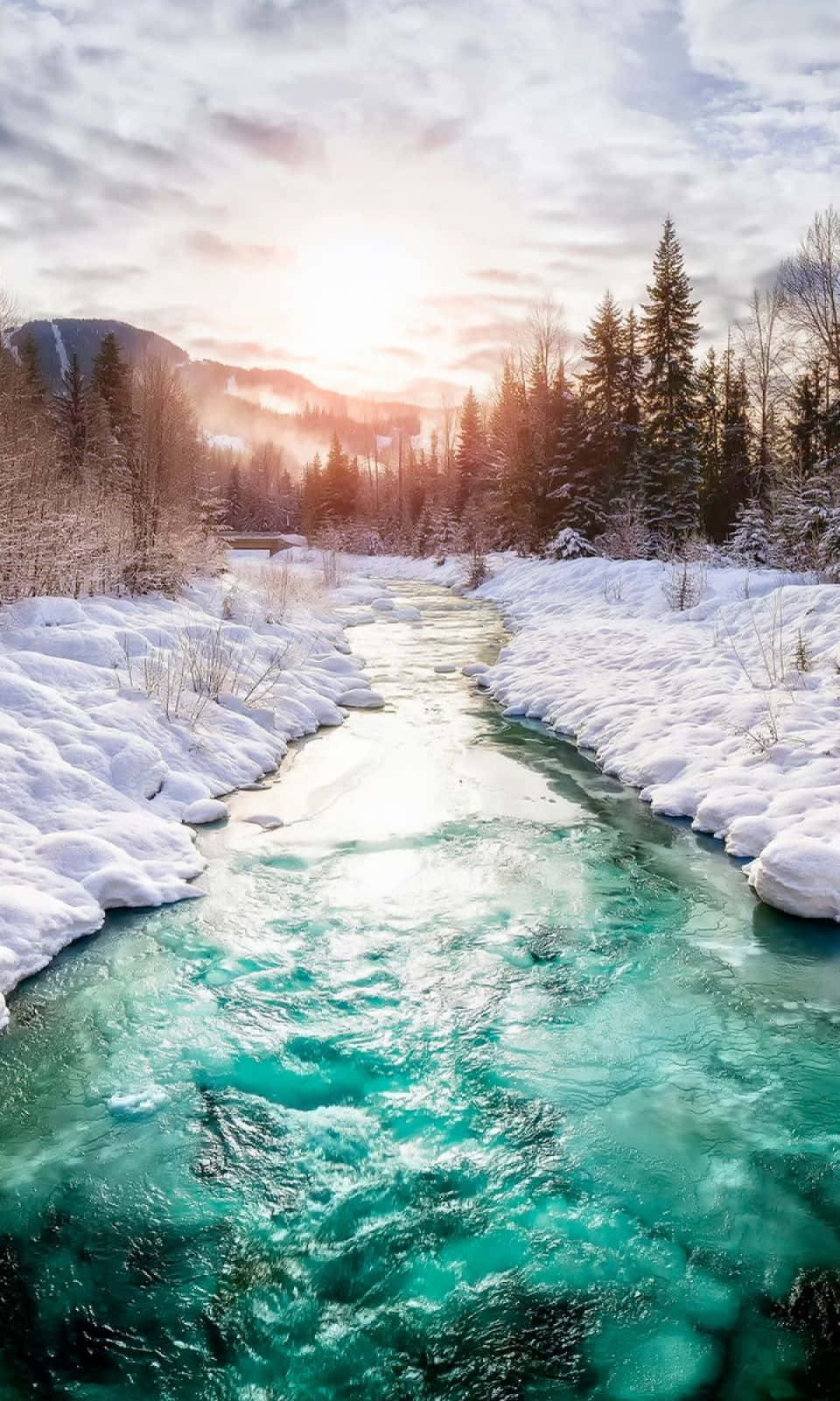 ¡Saluda al teléfono de invierno más lindo! Fondos de pantalla