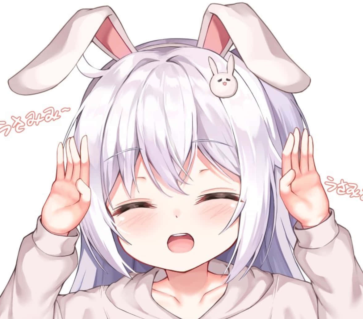 Discord Anime Avatar Conejo Feliz Fondos de pantalla