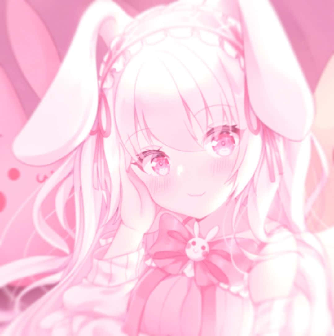 Discord Anime Pfp Rosa Estético Fondos de pantalla