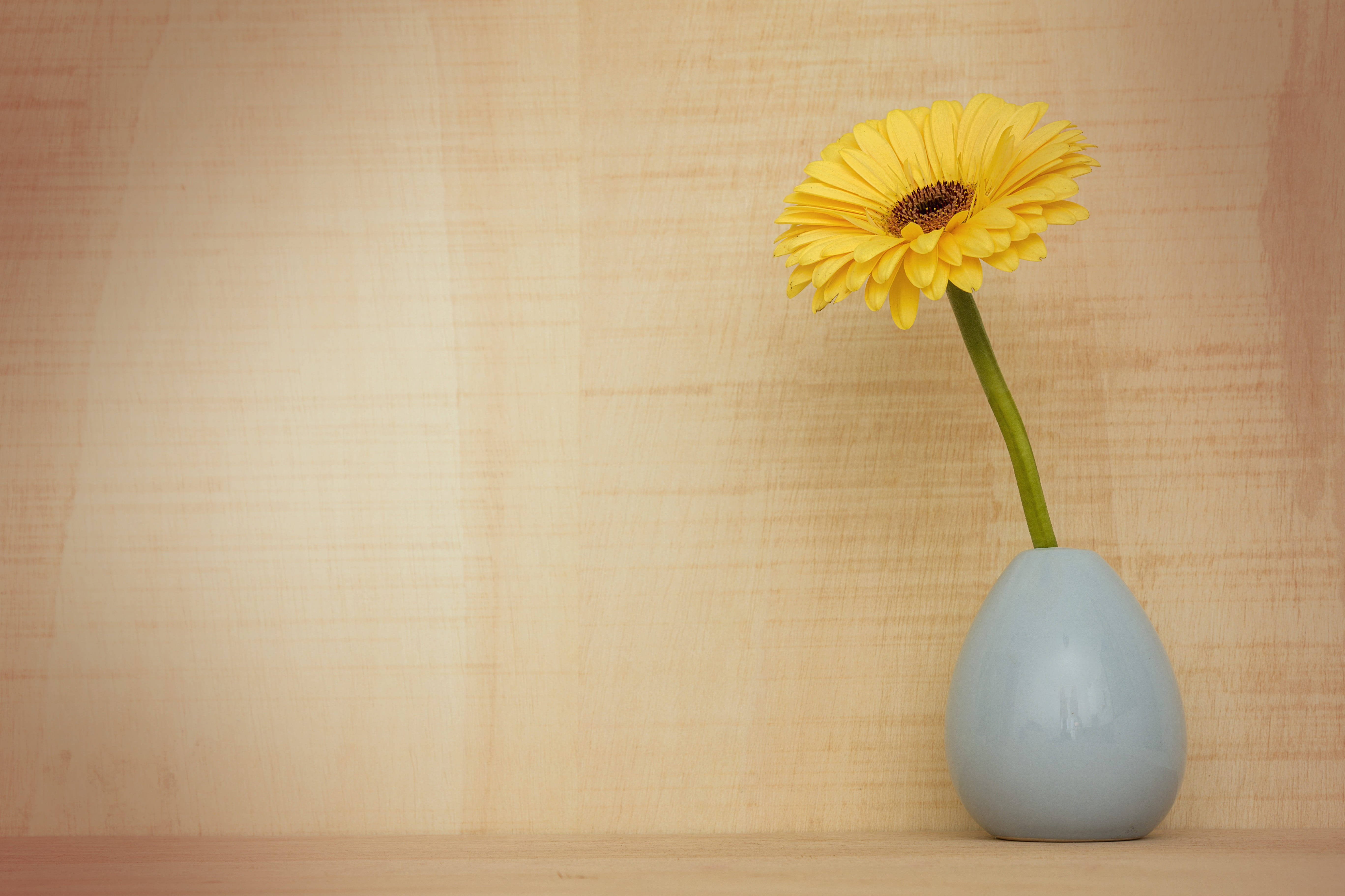 Diseño de fondo con florero de girasol Fondos de pantalla