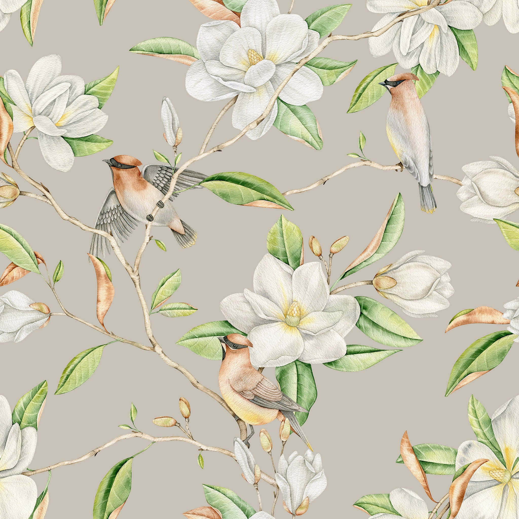 Diseño Estético Impreso de Flor de Magnolia Fondos de pantalla