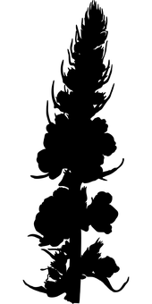 Diseño Floral Fondo Negro.JPG Fondos de pantalla