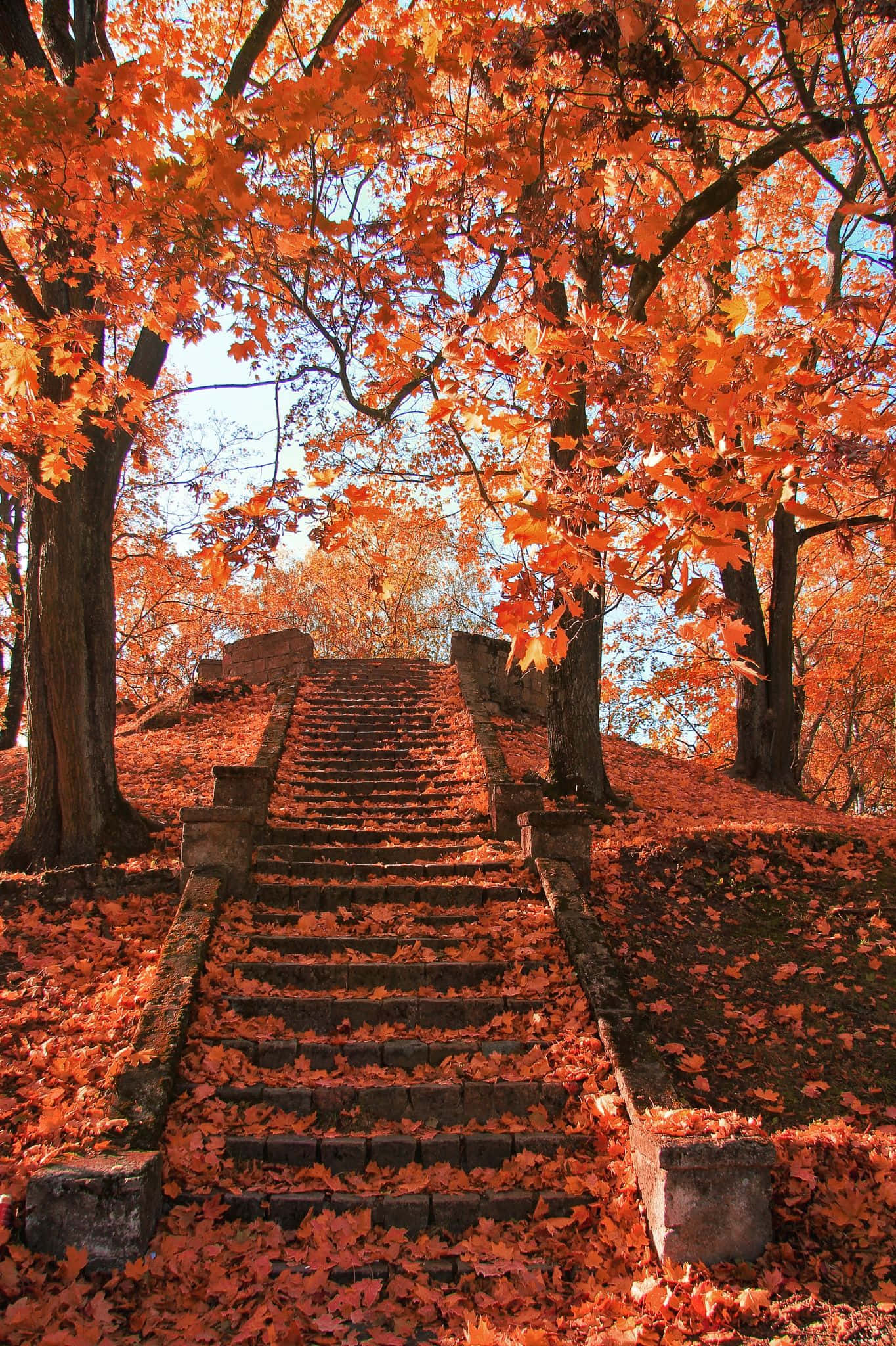 Disfruta de colores vibrantes y clima fresco durante la temporada de otoño, cuando las hojas comienzan a cambiar. Fondos de pantalla