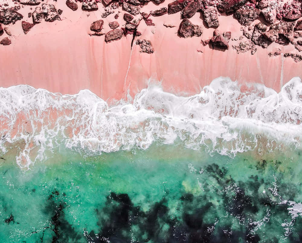 Disfruta de la belleza que la playa tiene para ofrecer Fondos de pantalla