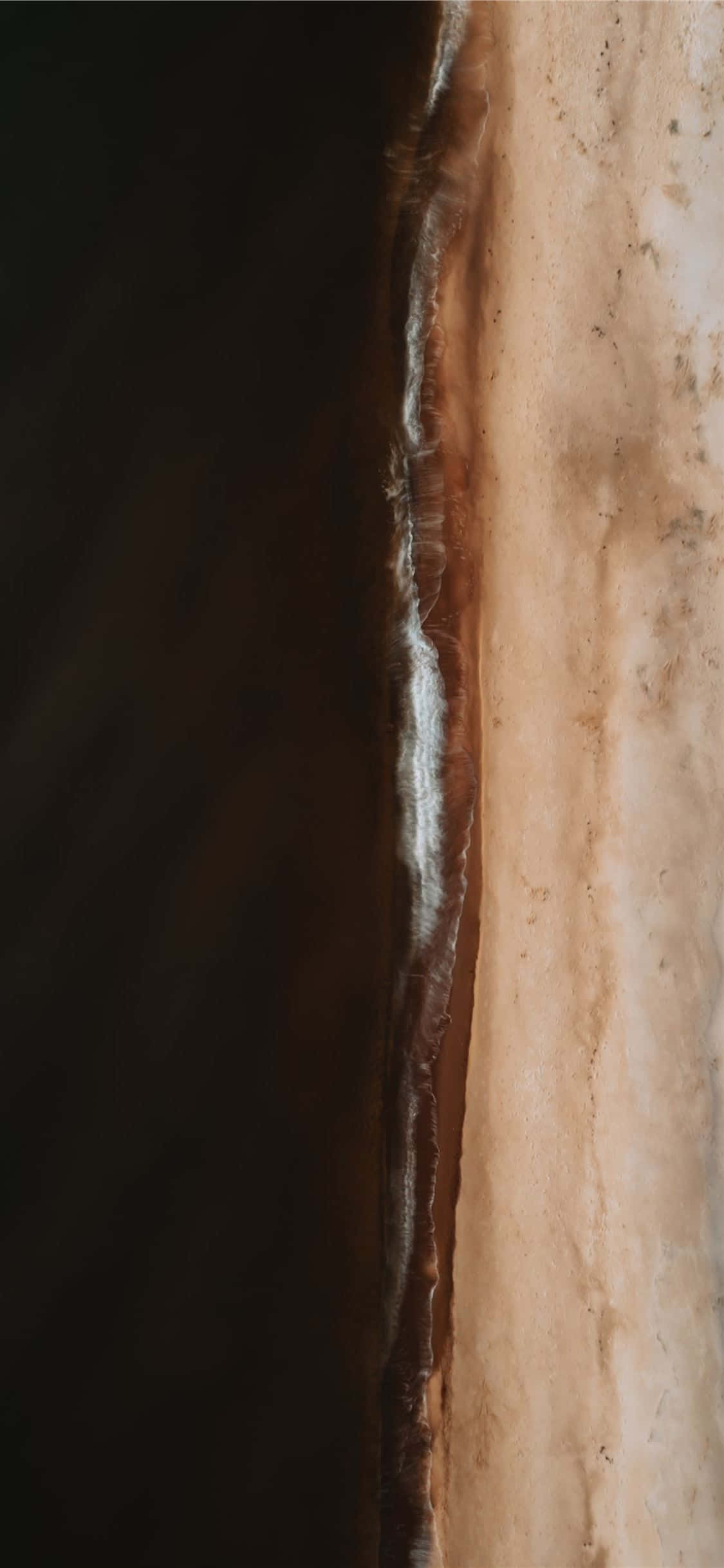 Disfruta de la calidez del fondo de pantalla contrastado en marrón y blanco para decorar tu hogar Fondos de pantalla