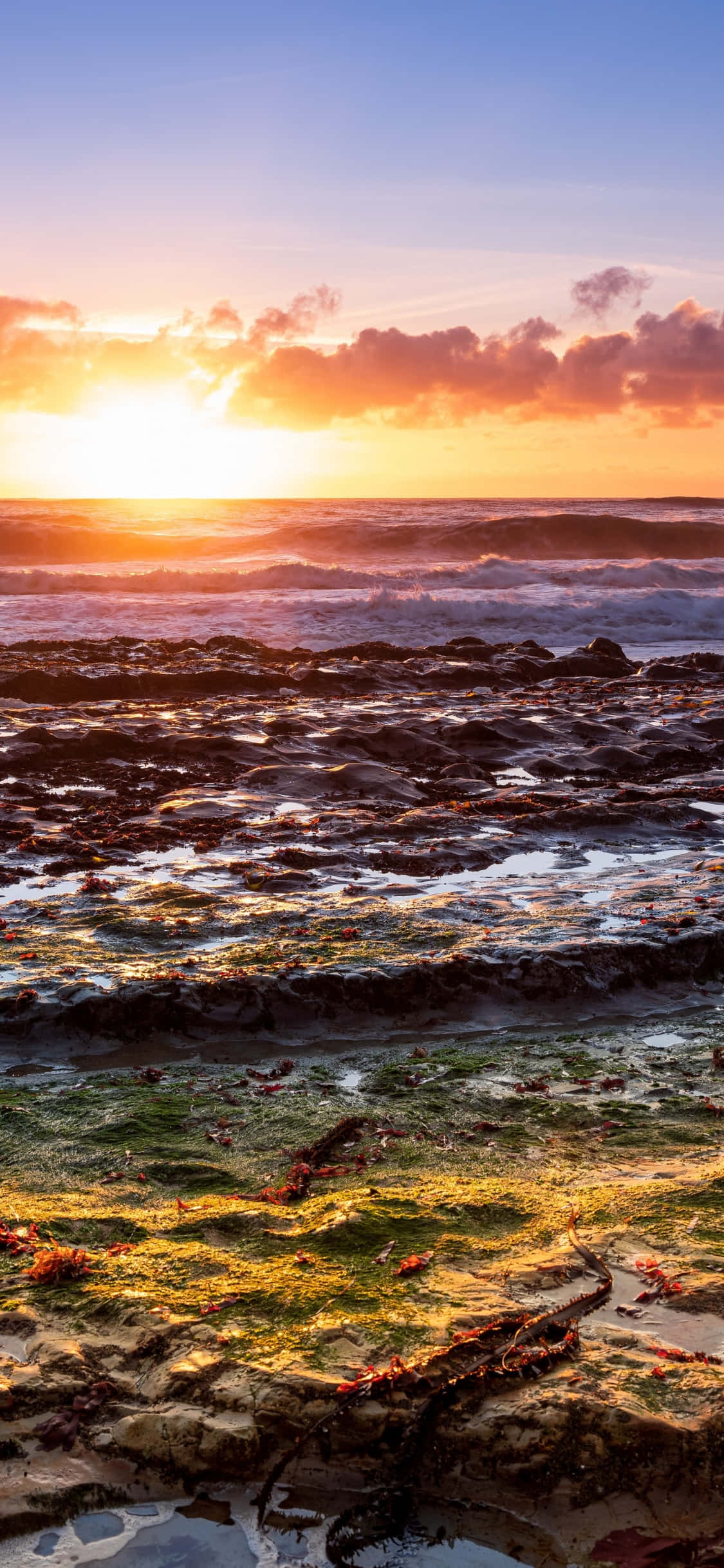 Disfruta de la costa de California desde cualquier lugar con el iPhone X Fondos de pantalla