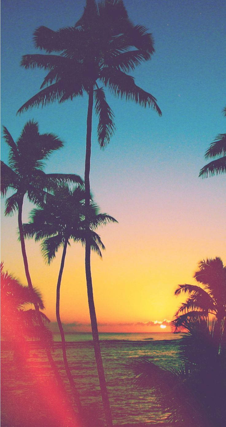 Disfruta de un atardecer en la playa paradisíaca con tu iPhone Fondos de pantalla