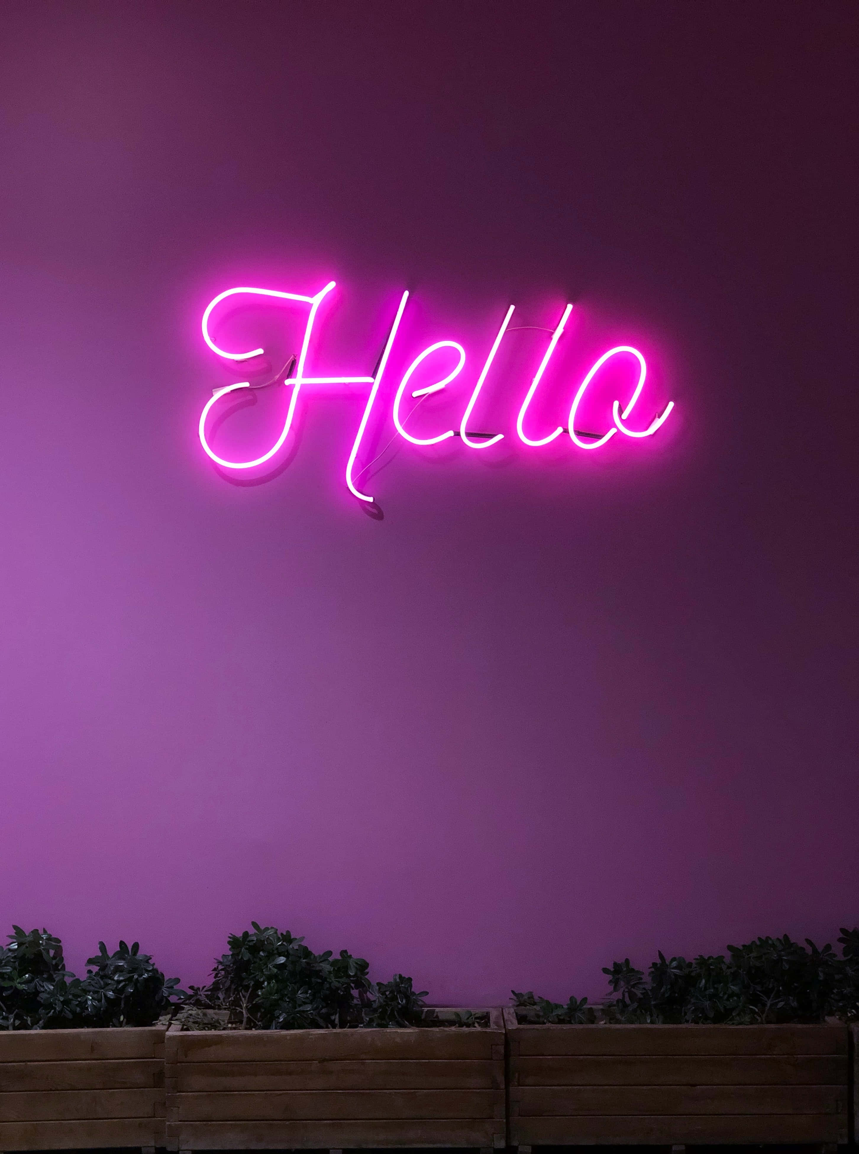 Disfruta de una Experiencia Única y Colorida con Neón Púrpura Fondos de pantalla