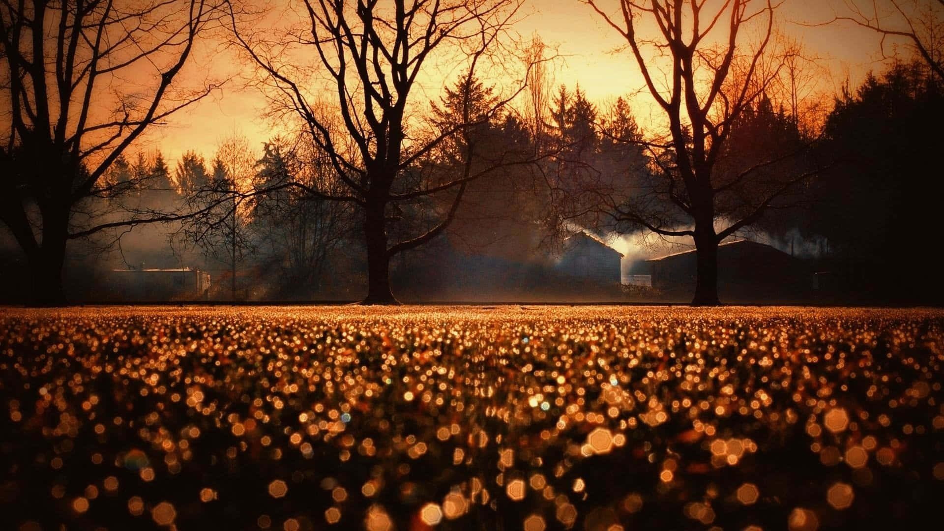 Disfruta de una encantadora temporada de otoño con esta linda imagen Fondos de pantalla