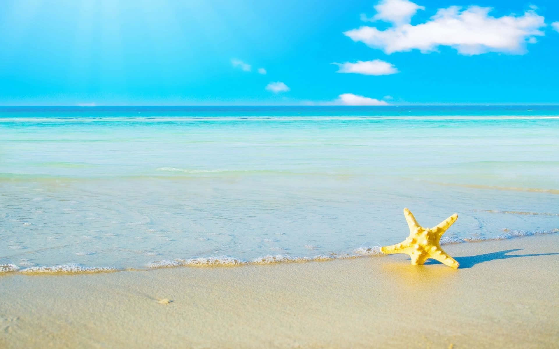 Disfruta del calor del verano y la belleza que te rodea. Fondos de pantalla