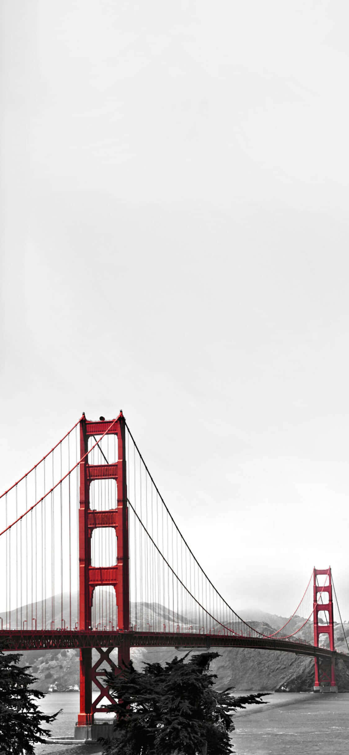 Disfruta del diseño elegante y versátil de un white iPhone Fondos de pantalla