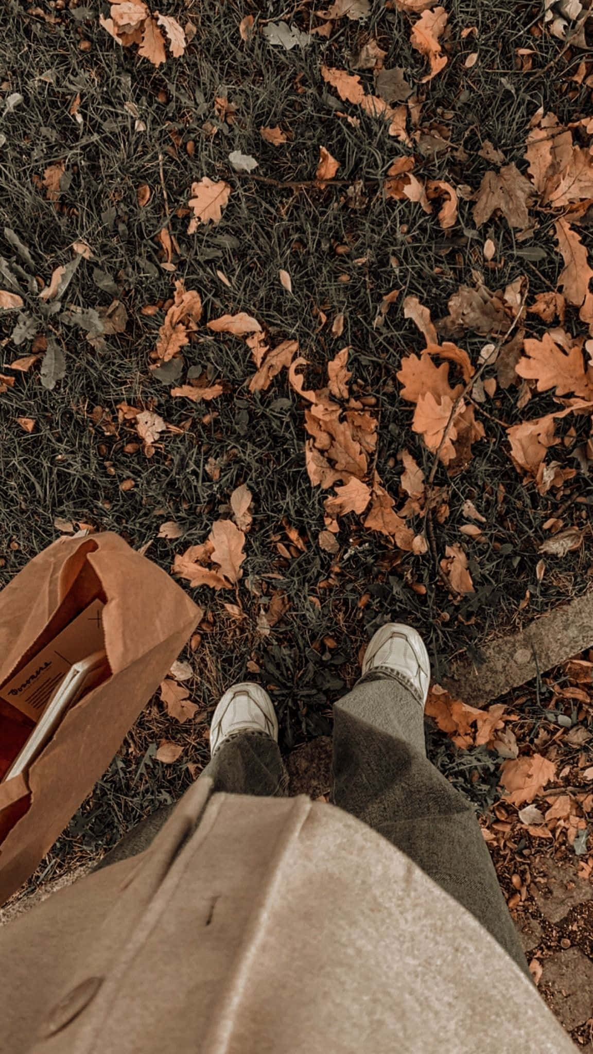 Disfruta del efecto cálido y relajante de Aesthetic Brown Fondos de pantalla