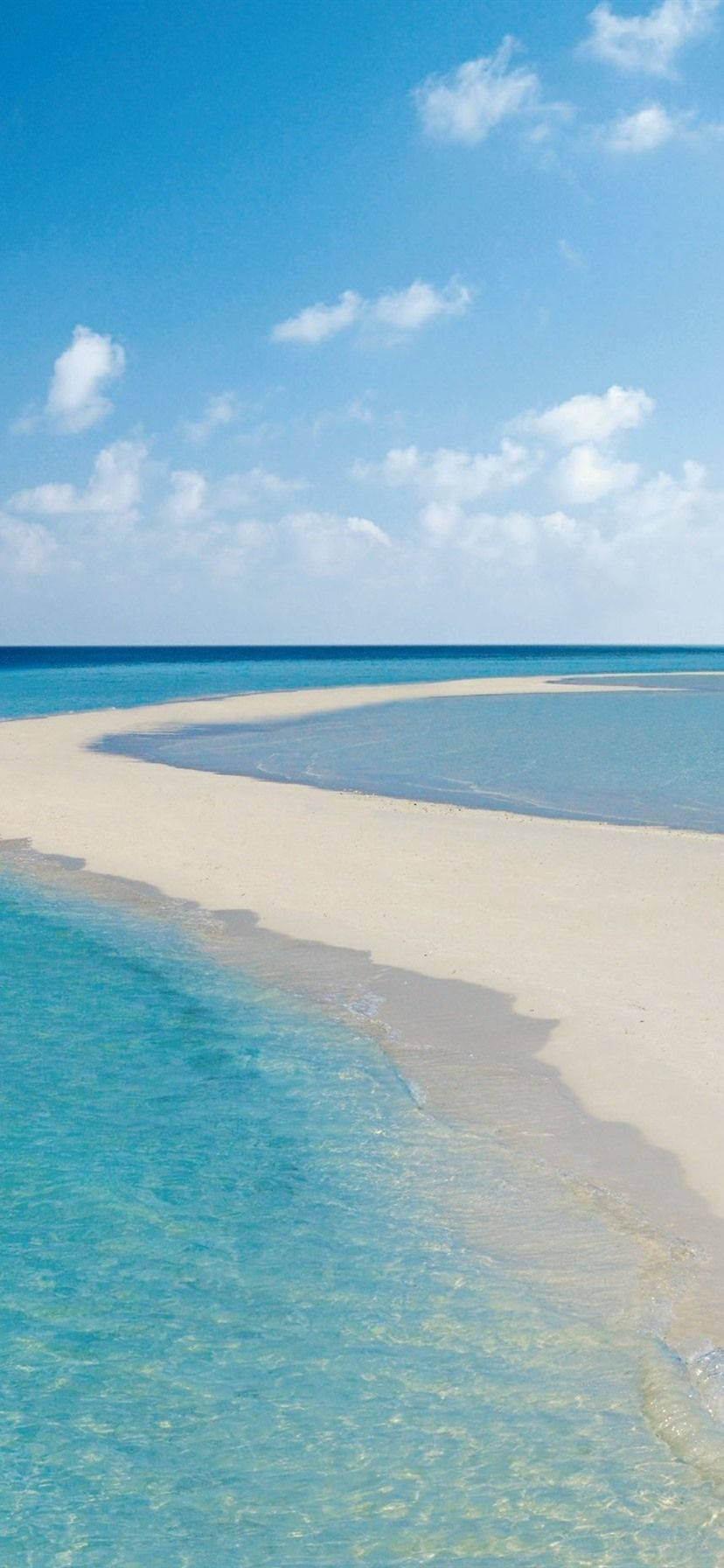 Disfruta del esplendor de un día de verano Fondos de pantalla