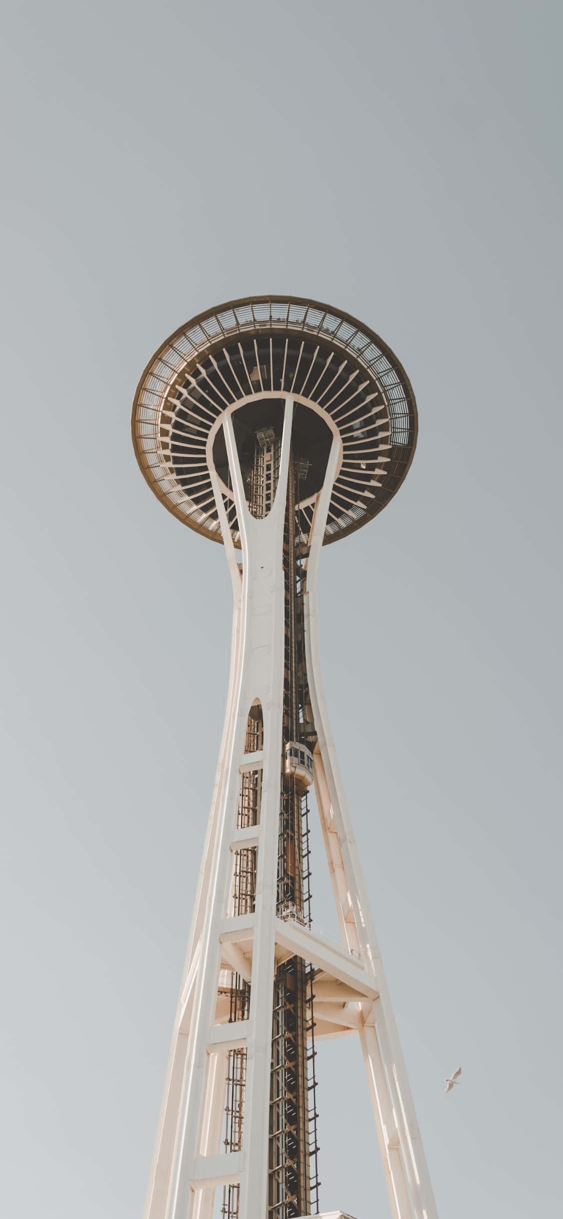 Disfruta el impresionante horizonte de Seattle desde la perspectiva de un iPhone X. Fondos de pantalla