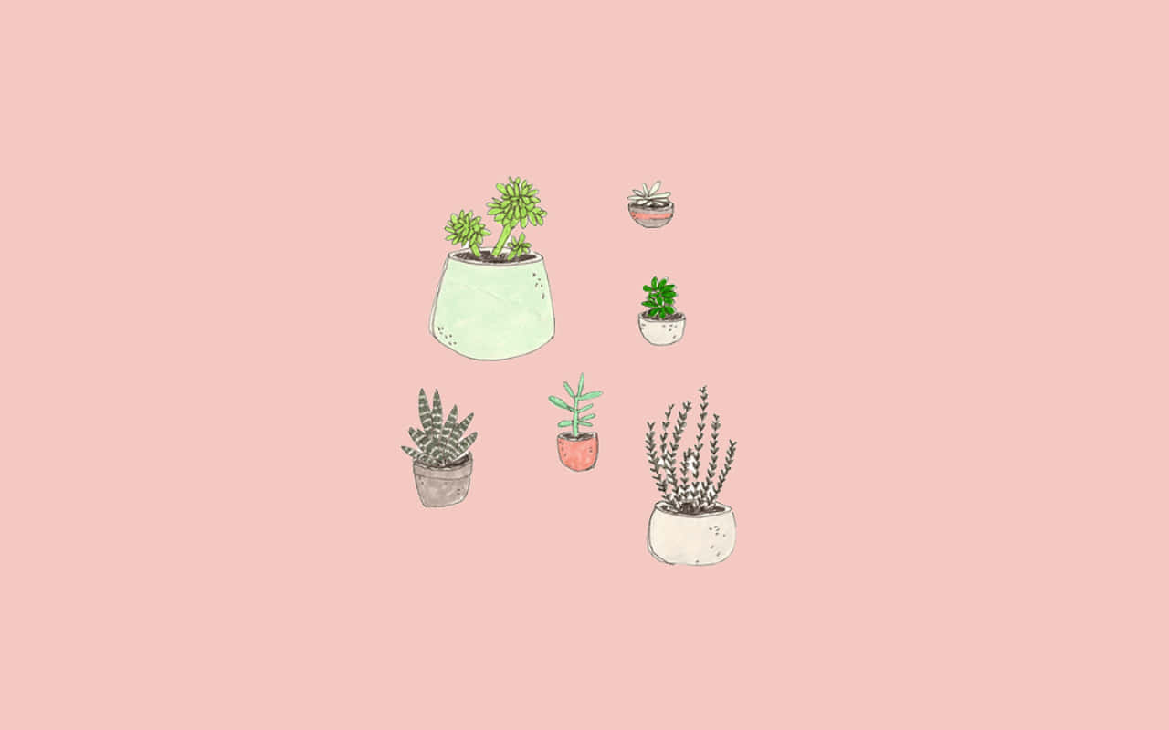 Disfruta el Rosa Suave Estético de una Naturaleza Soñadora Fondos de pantalla
