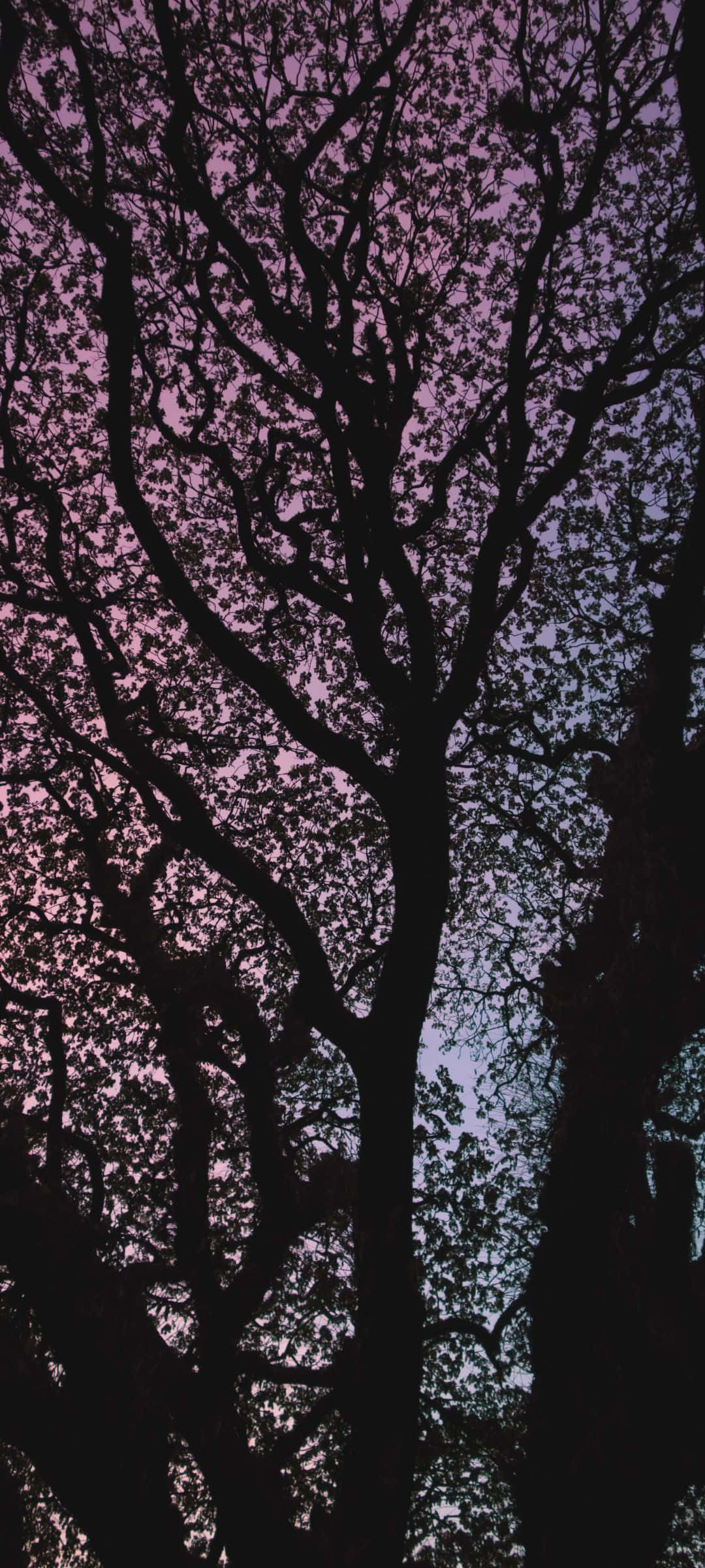 Disfruta el #Verano con un Atardecer Colorido Fondos de pantalla