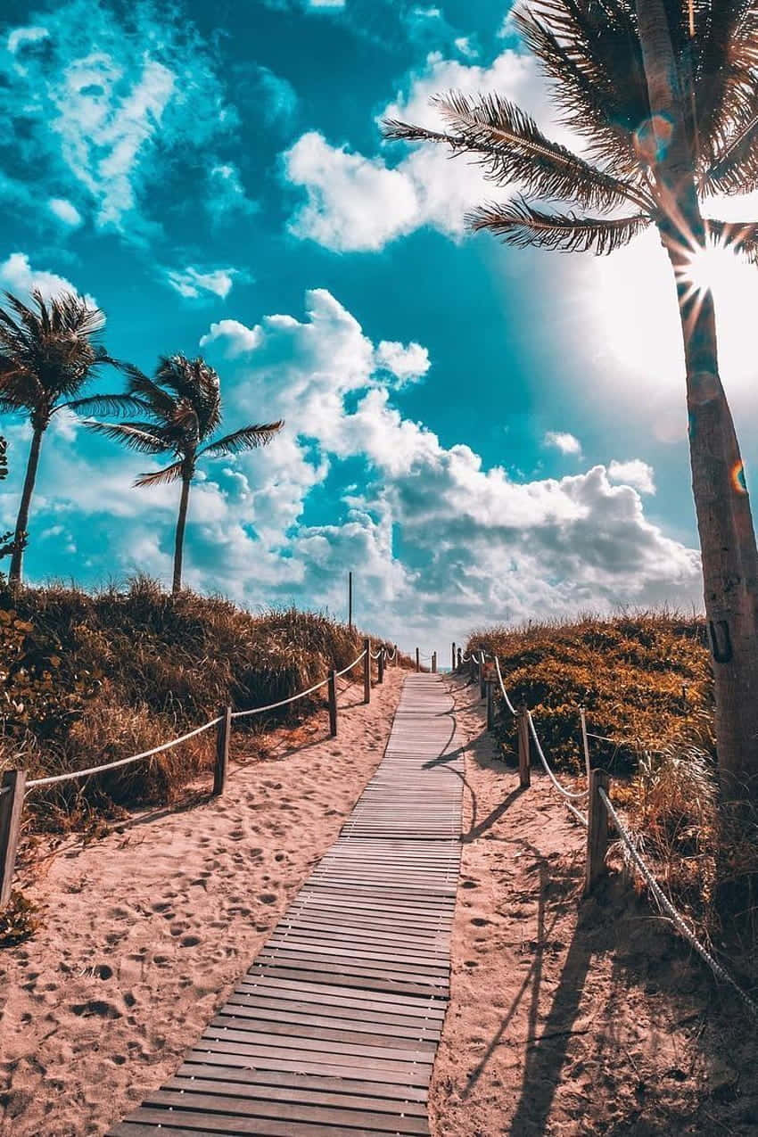 Disfruta el Verano de California Fondos de pantalla