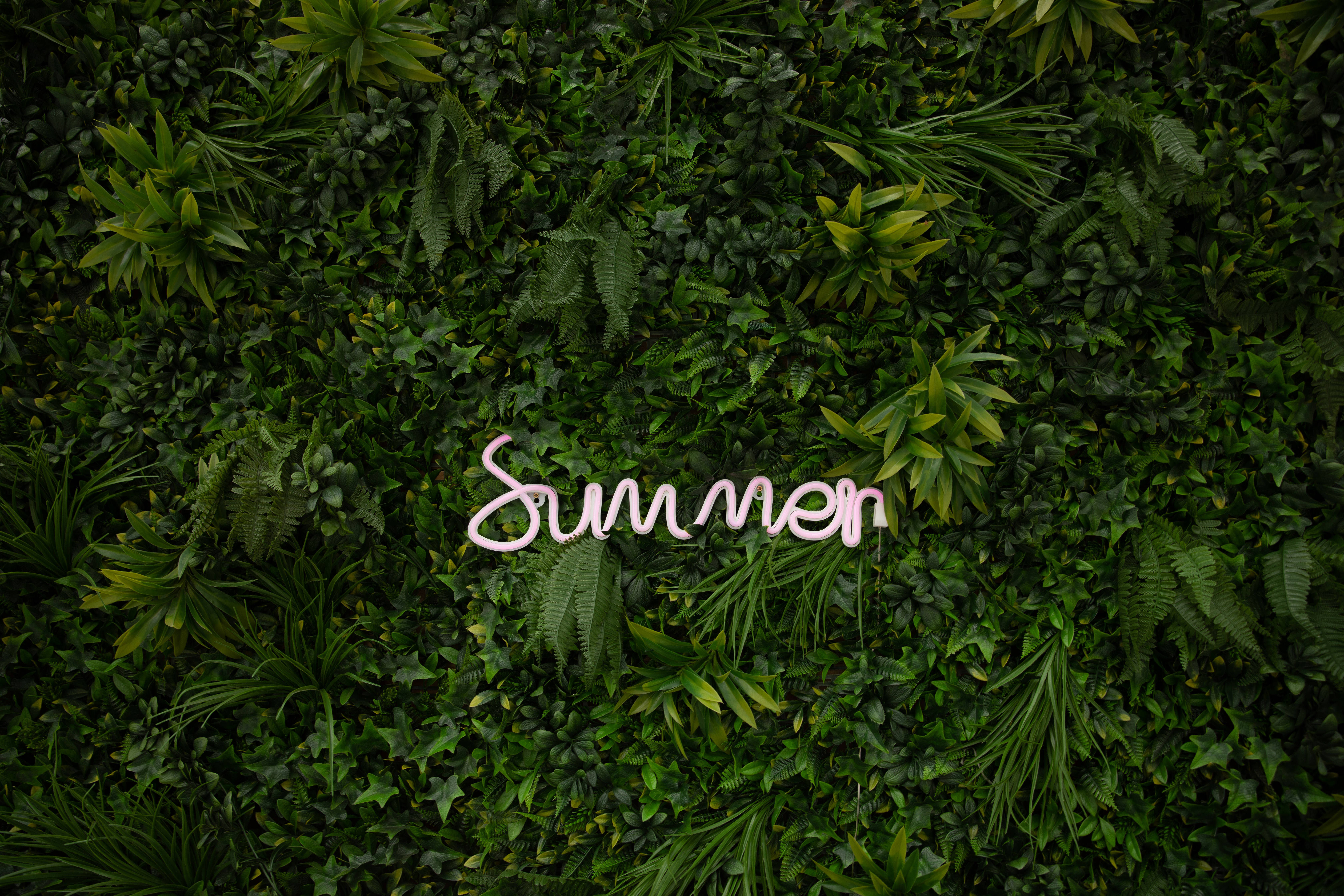 ¡Disfruta este verano! Fondos de pantalla