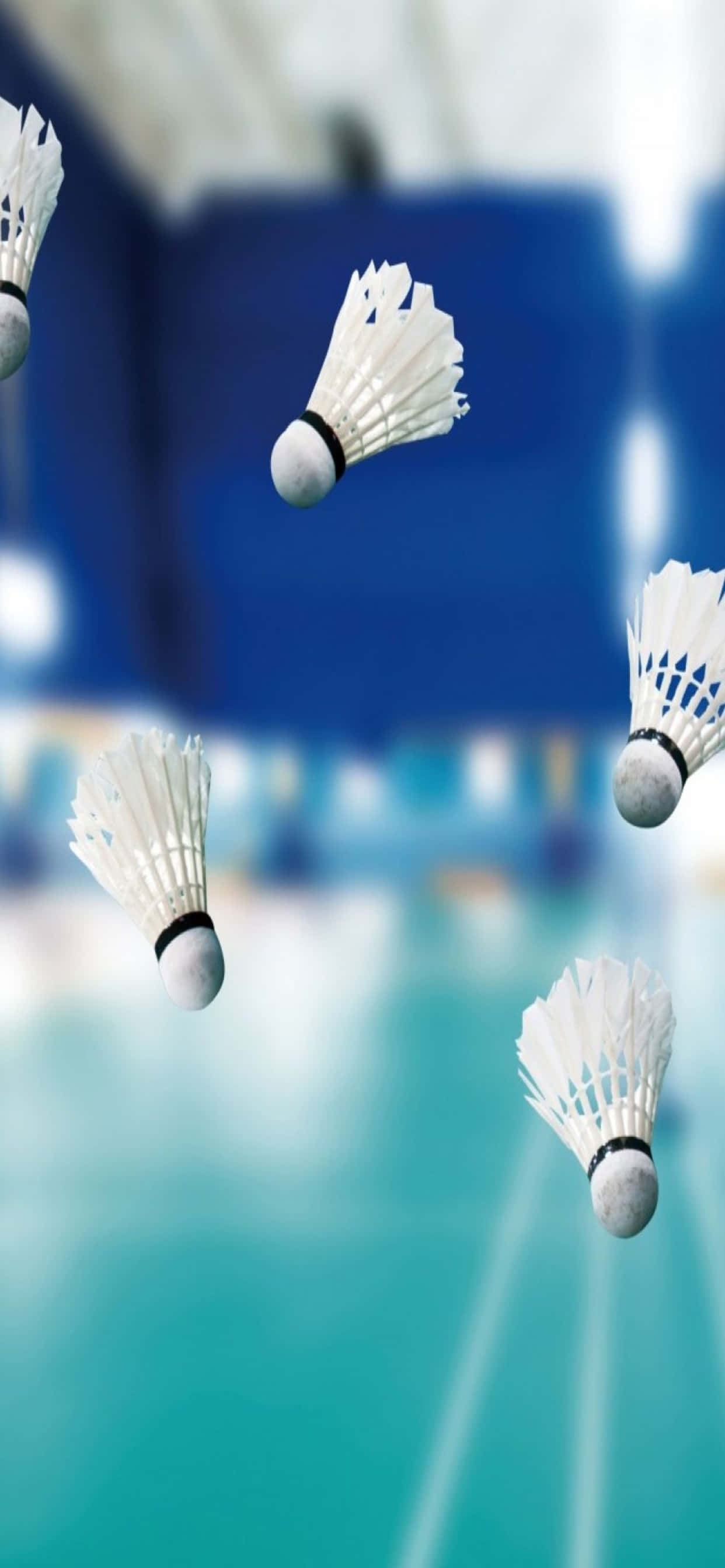 Disfruta jugando bádminton con el último iPhone Xs Max Fondos de pantalla