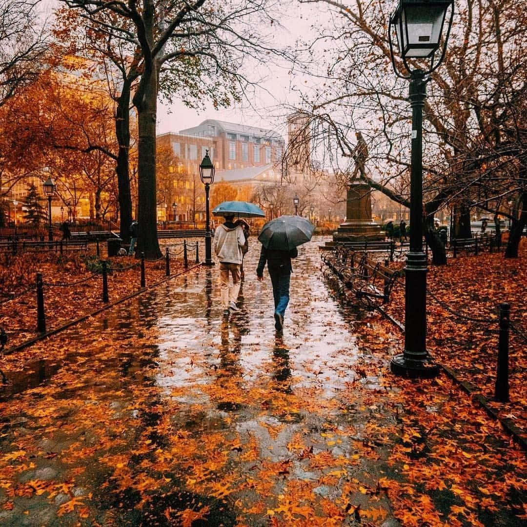 Disfruta la belleza del otoño Fondos de pantalla