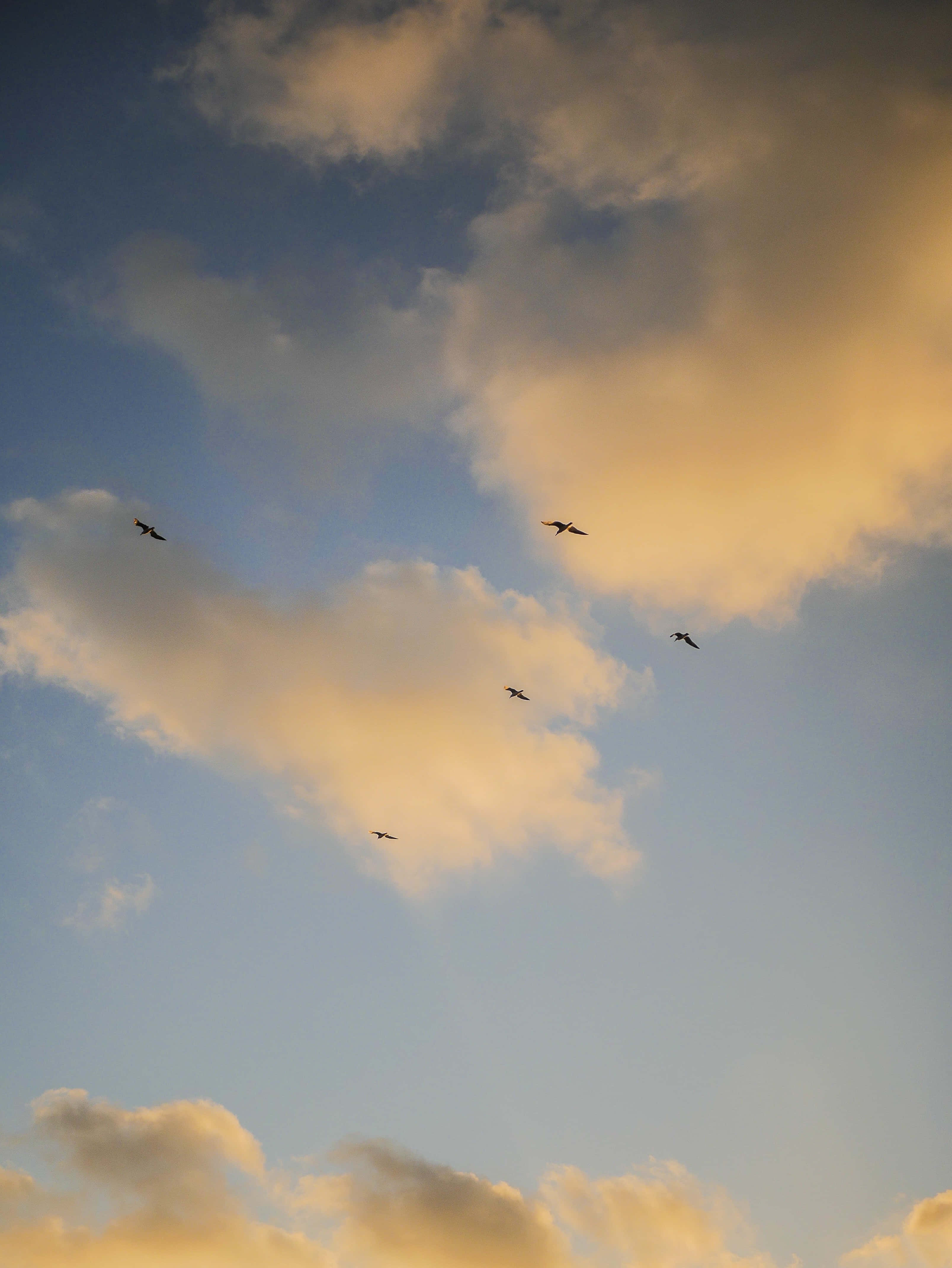 Disfruta la belleza de un Cielo Estético en colores pastel Fondos de pantalla