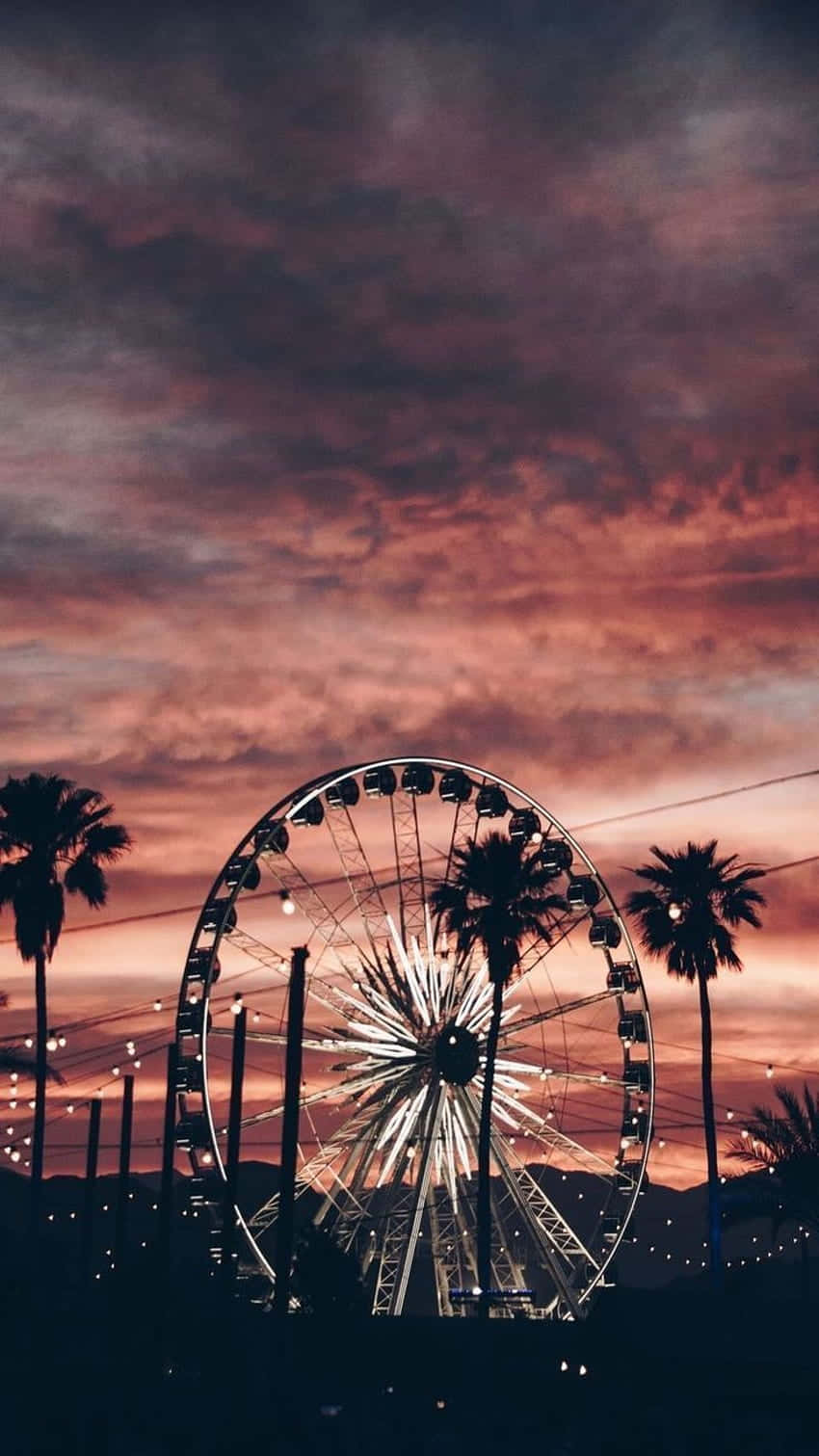 Disfruta la belleza de un verano californiano desde la cima Fondos de pantalla
