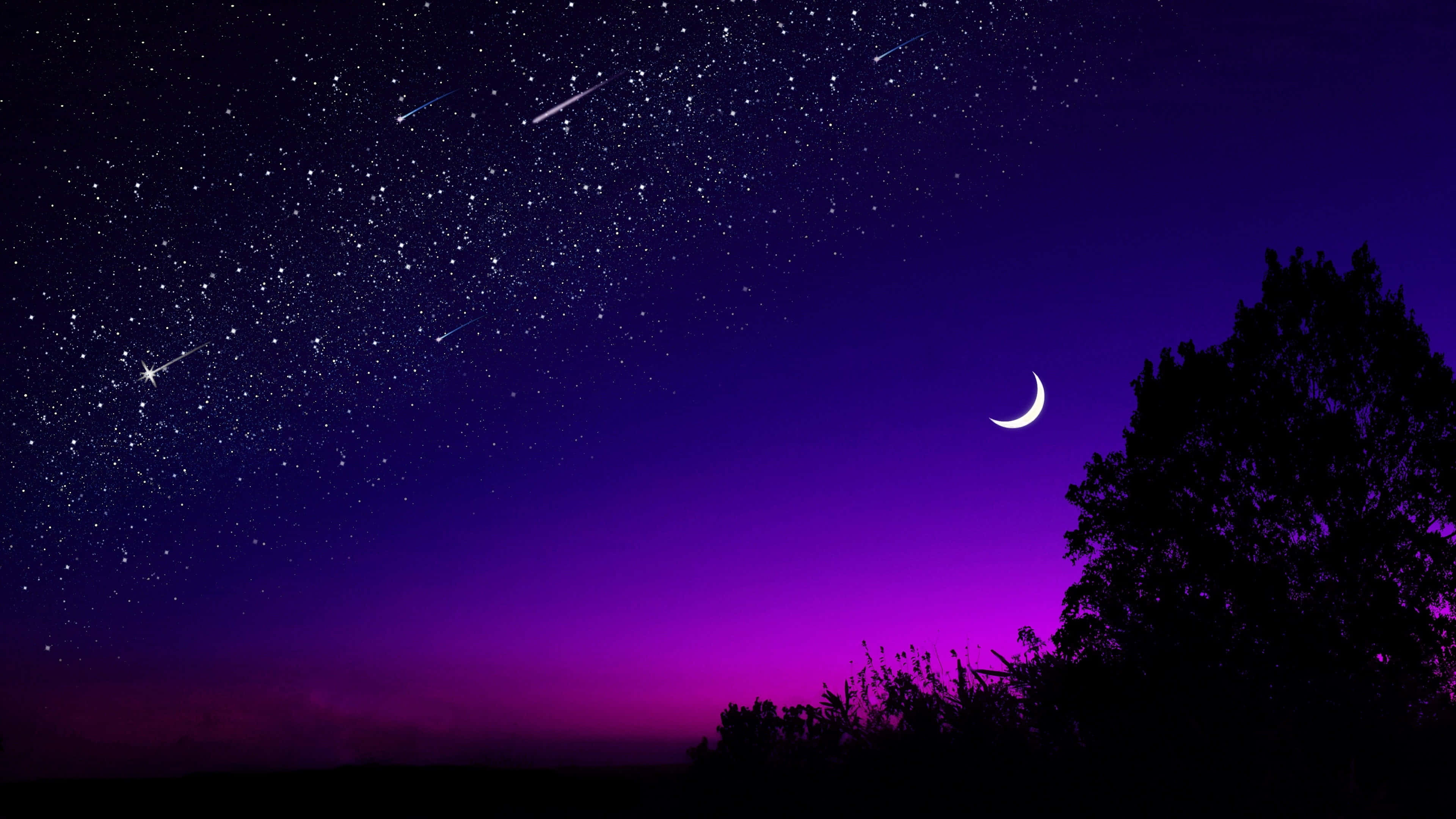 Disfruta la belleza de un estético morado oscuro Fondos de pantalla