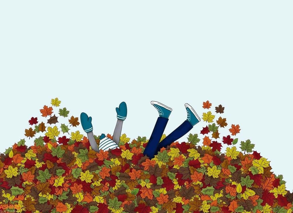 Disfruta la belleza de la naturaleza este otoño Fondos de pantalla