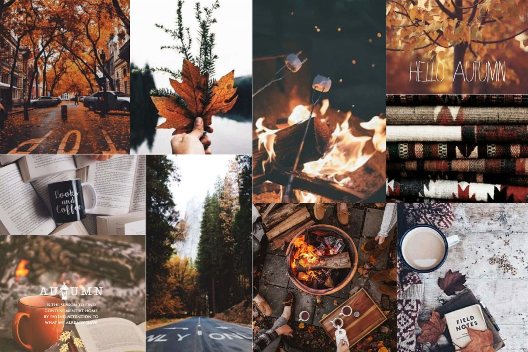 ¡Disfruta la belleza de la temporada de otoño! Fondos de pantalla