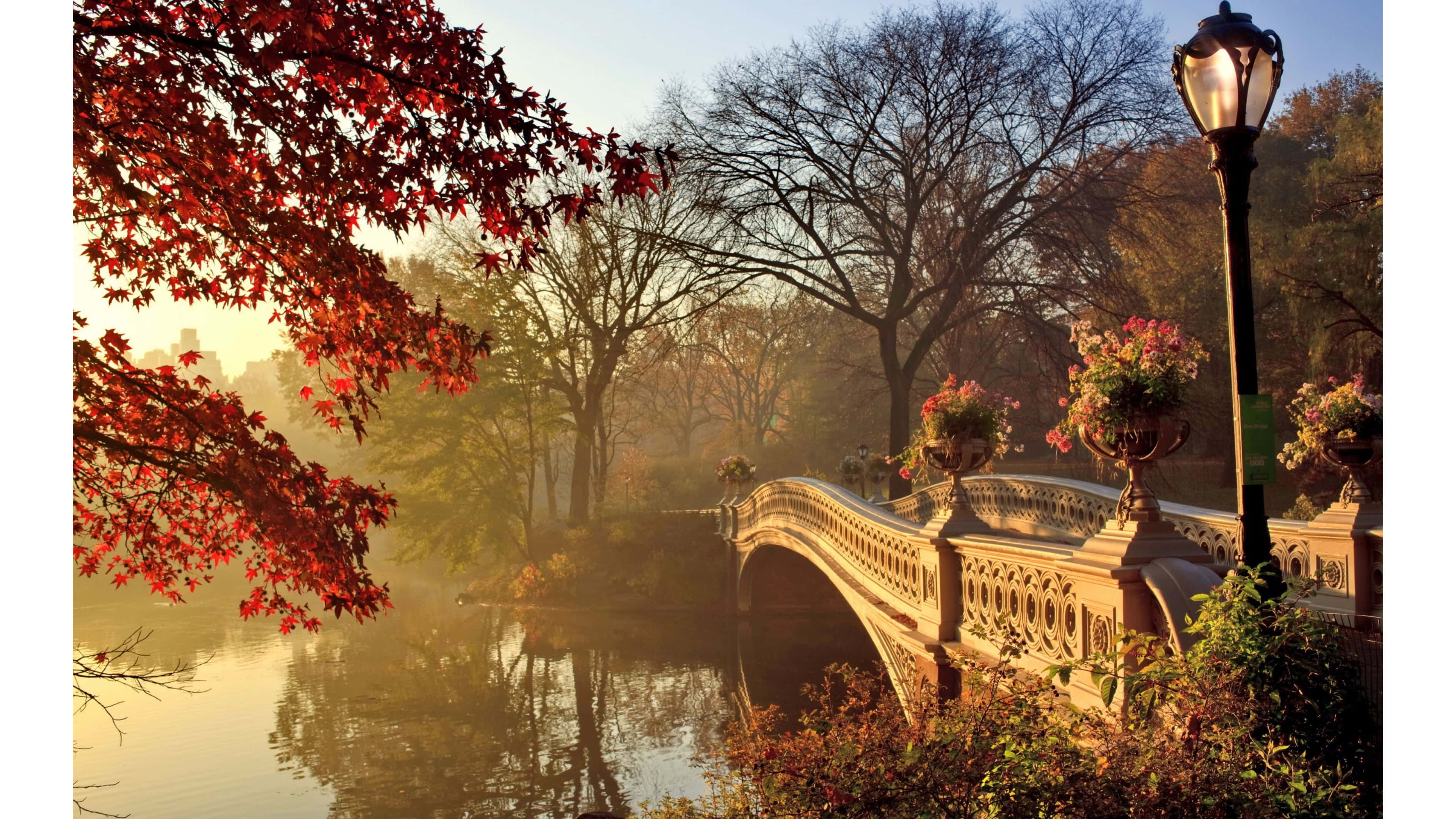 Disfruta la belleza del Otoño Vintage Fondos de pantalla